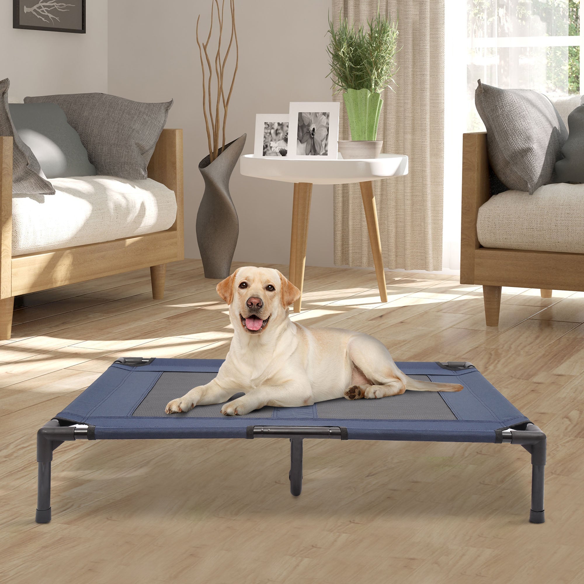 Elevated Dog Bed, Foldable Raised Dog Cot for L Sized Dogs, Indoor &; Outdoor, 36