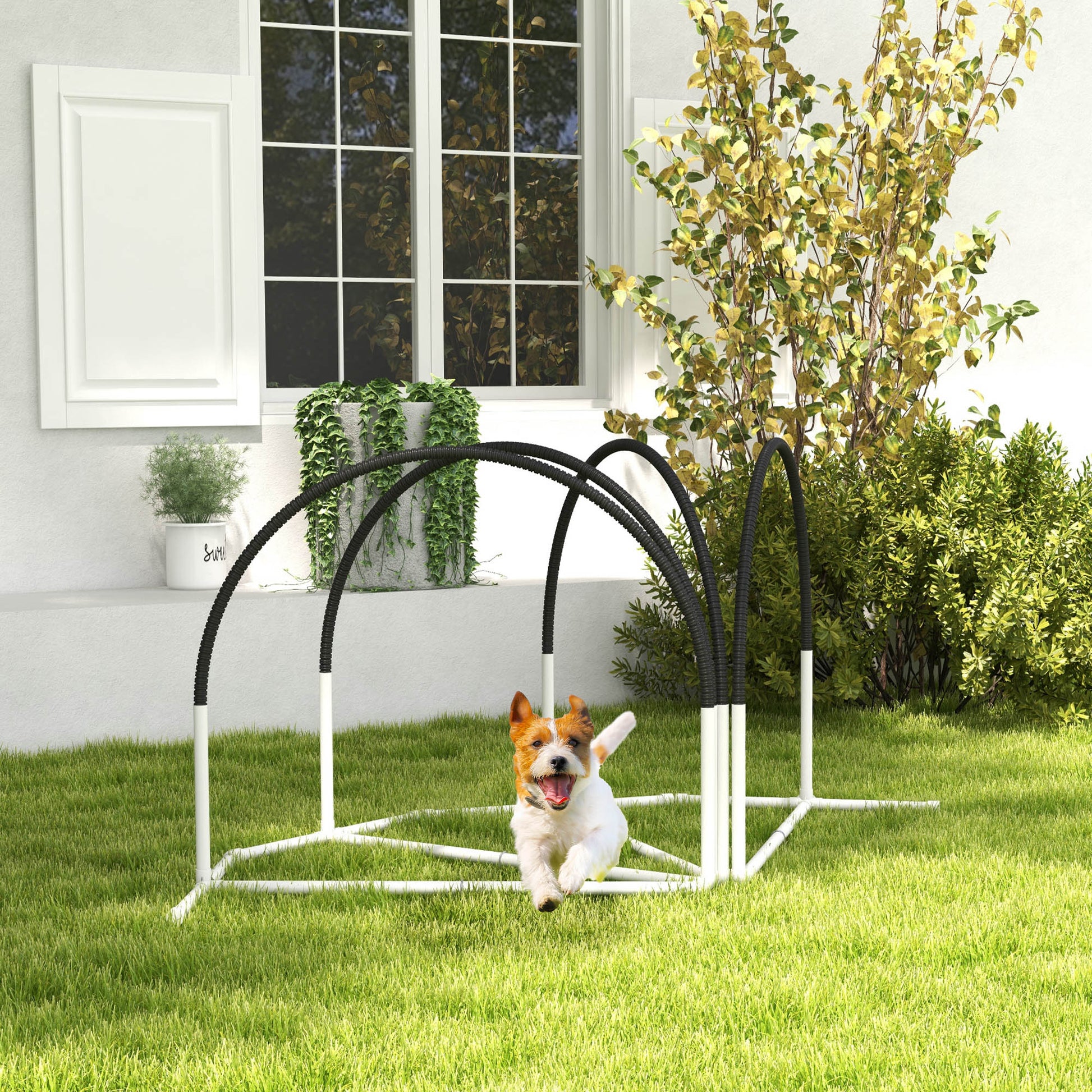 Dog Agility Kit Pet Obstacle Course Training Equipment Outdoor with Weave Poles, Carry Bag, Black Dog Agility Training Equipment   at Gallery Canada