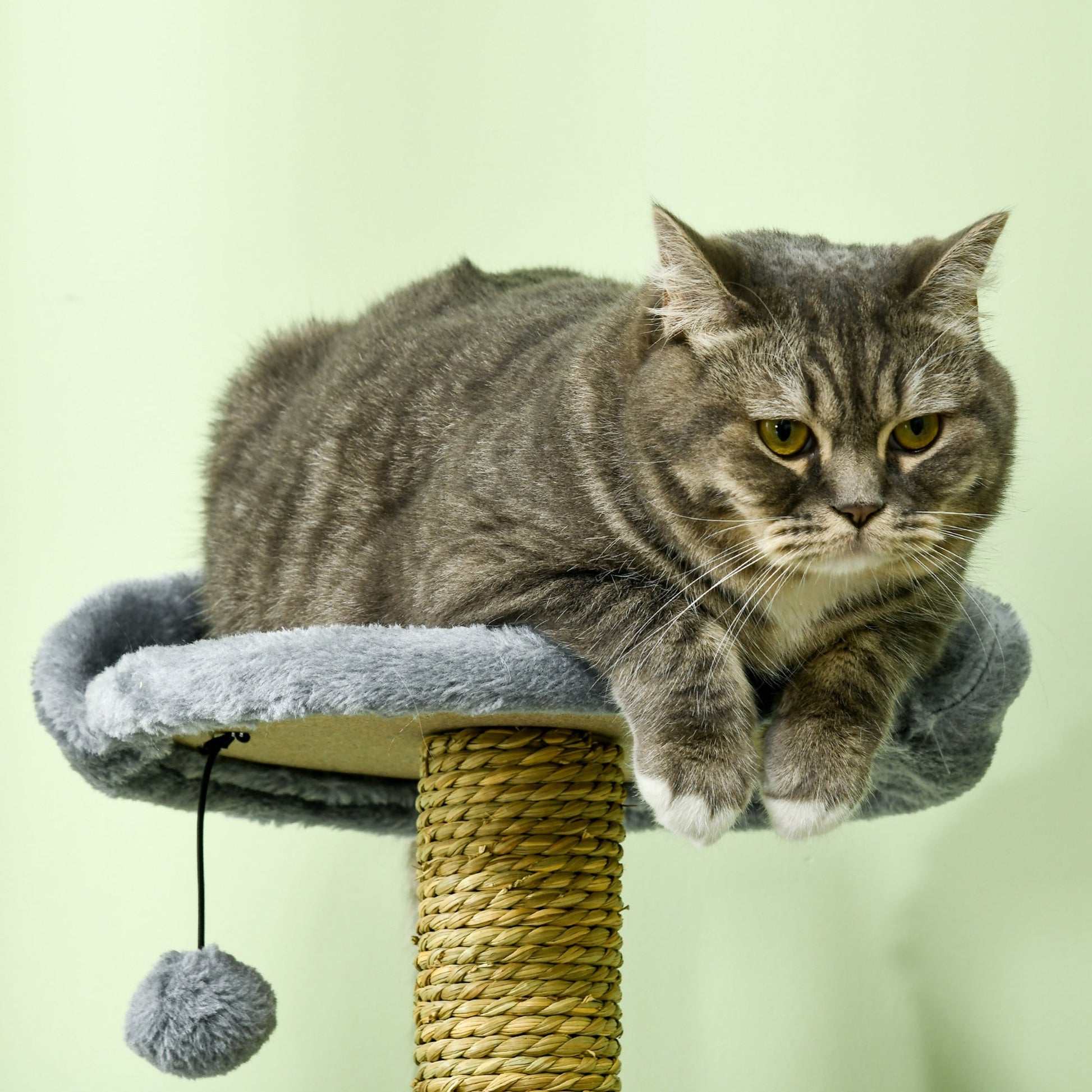 54" Cat Tree for Larger Cats Adult with Hammock, Tal Cat Tree Tower with Scratching Post, Condo, Platforms, Play Balls for Indoor Cats, Grey Cat Towers   at Gallery Canada