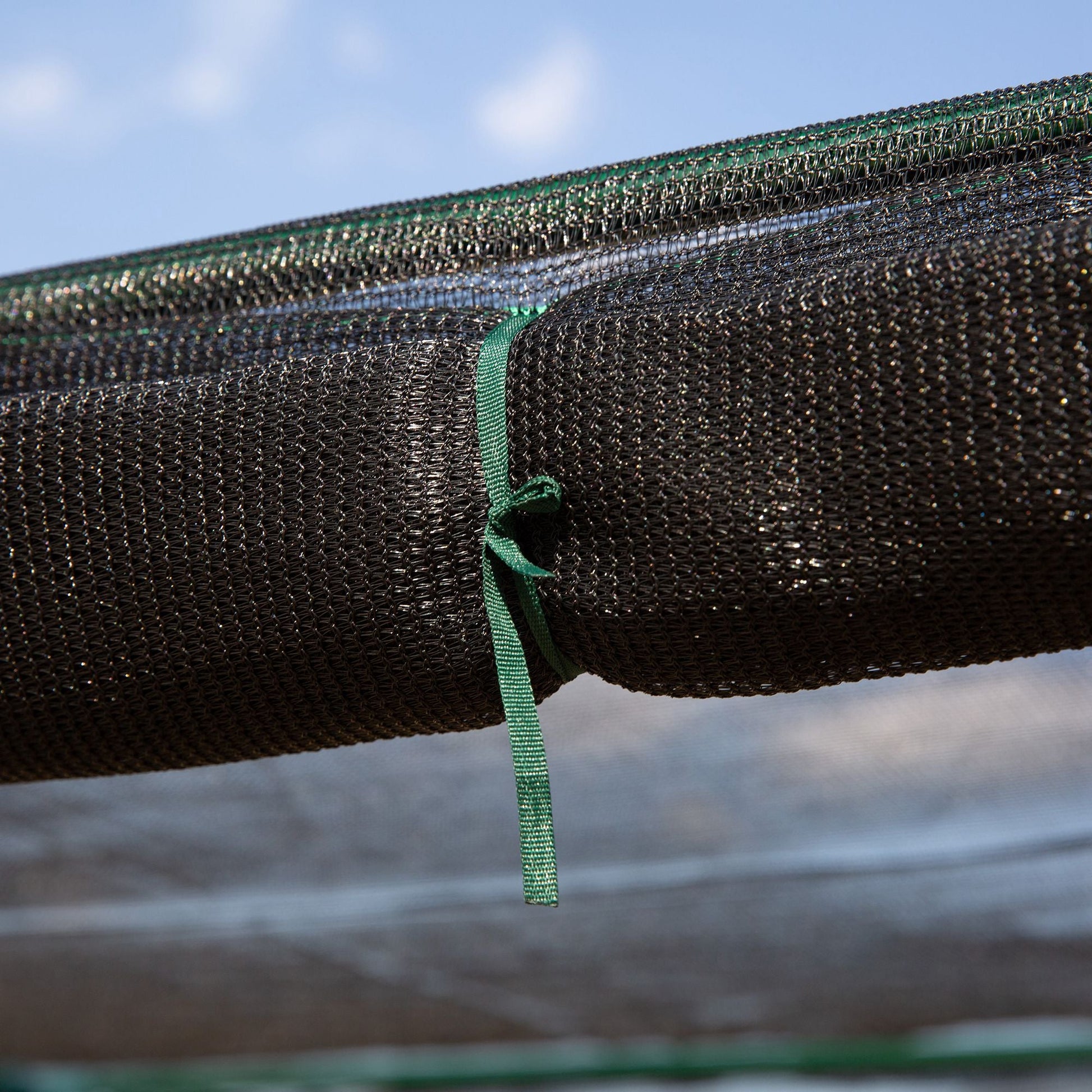 Heavy Duty Outdoor Greenhouse with Roll-Up Zipper Doors for Plants, Black Walk In Greenhouses   at Gallery Canada