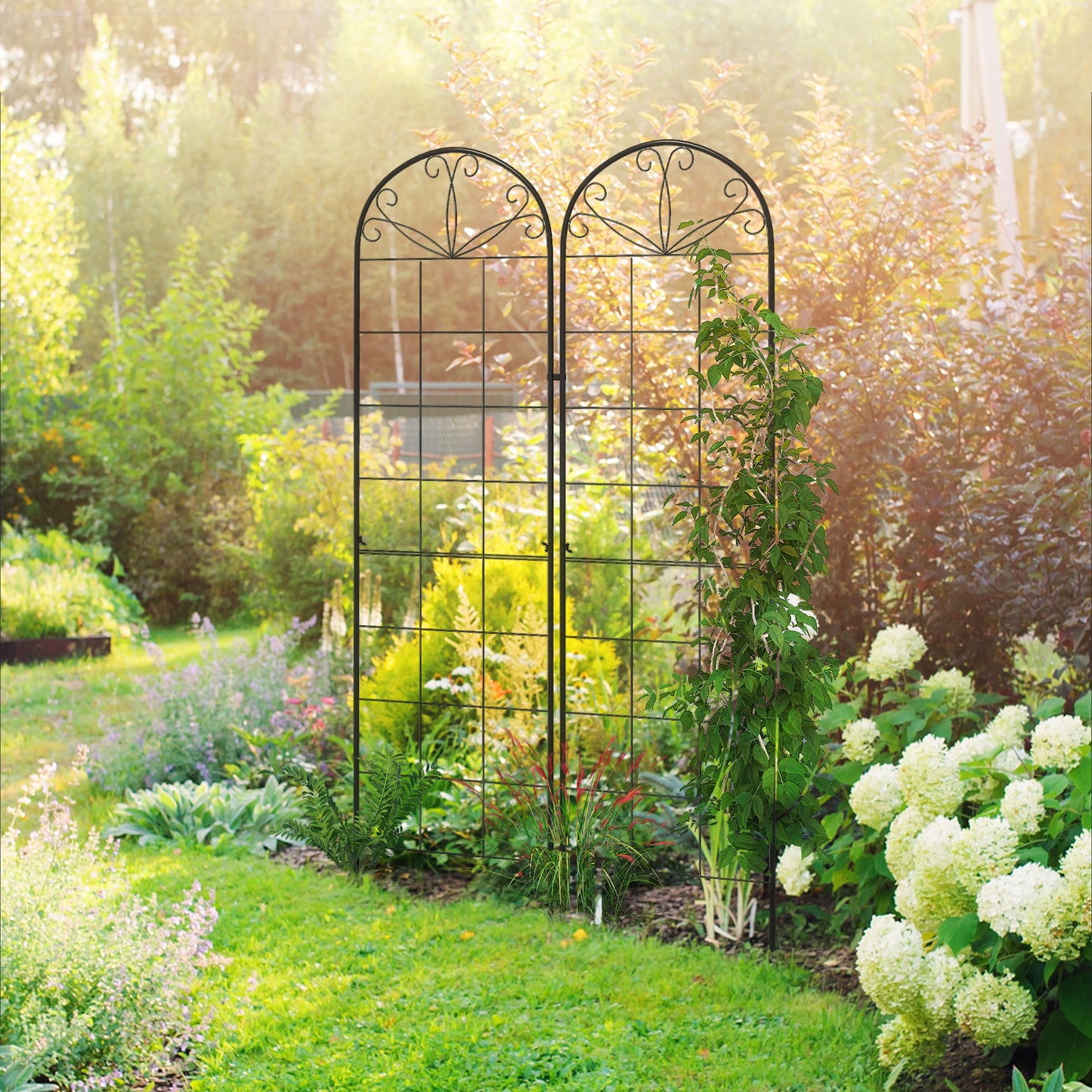 2 Pcs Garden Trellis for Climbing Plants, Outdoor Metal Trellis Plant Support Trellises for Patio, Lawn, Backyard Plant Stands Black at Gallery Canada