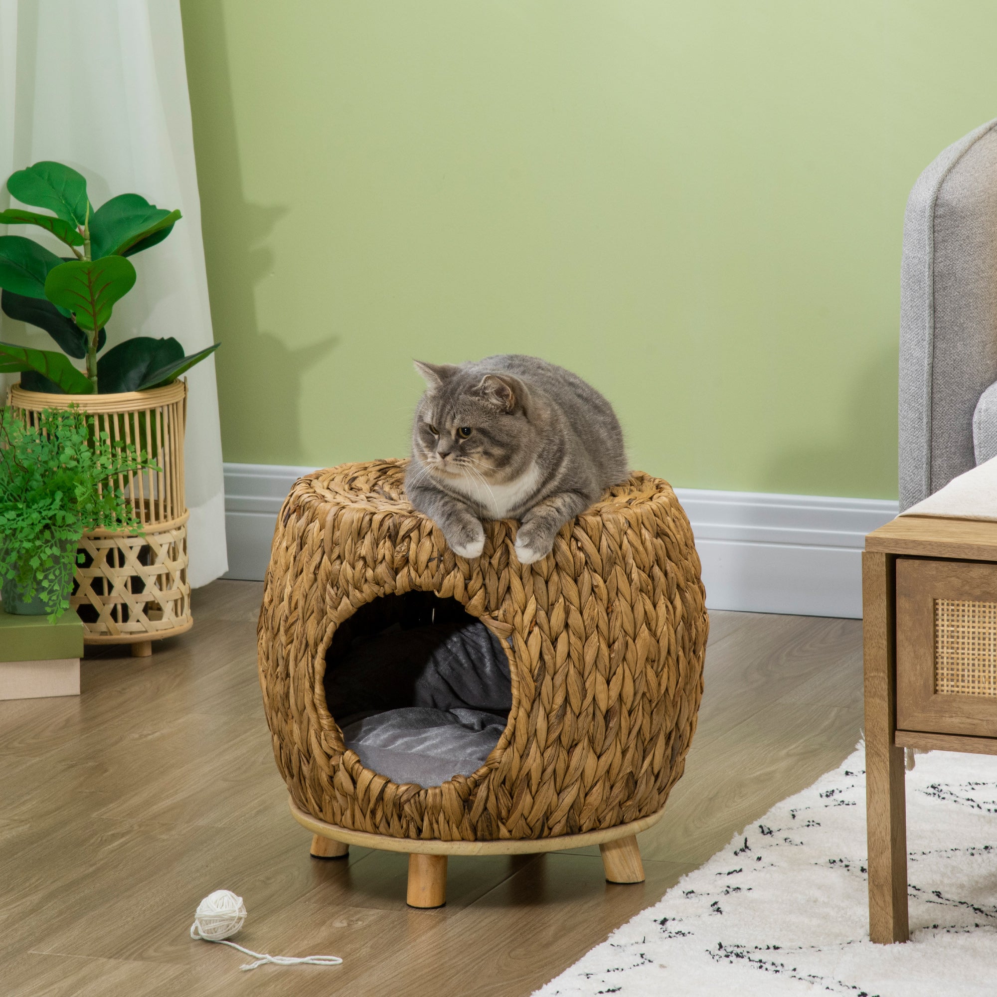 Wicker Cat Bed with Washable Cushion, Elevated Rattan Kitten Bed for Indoor Cats, Light Brown Cat Houses Multi Colour at Gallery Canada