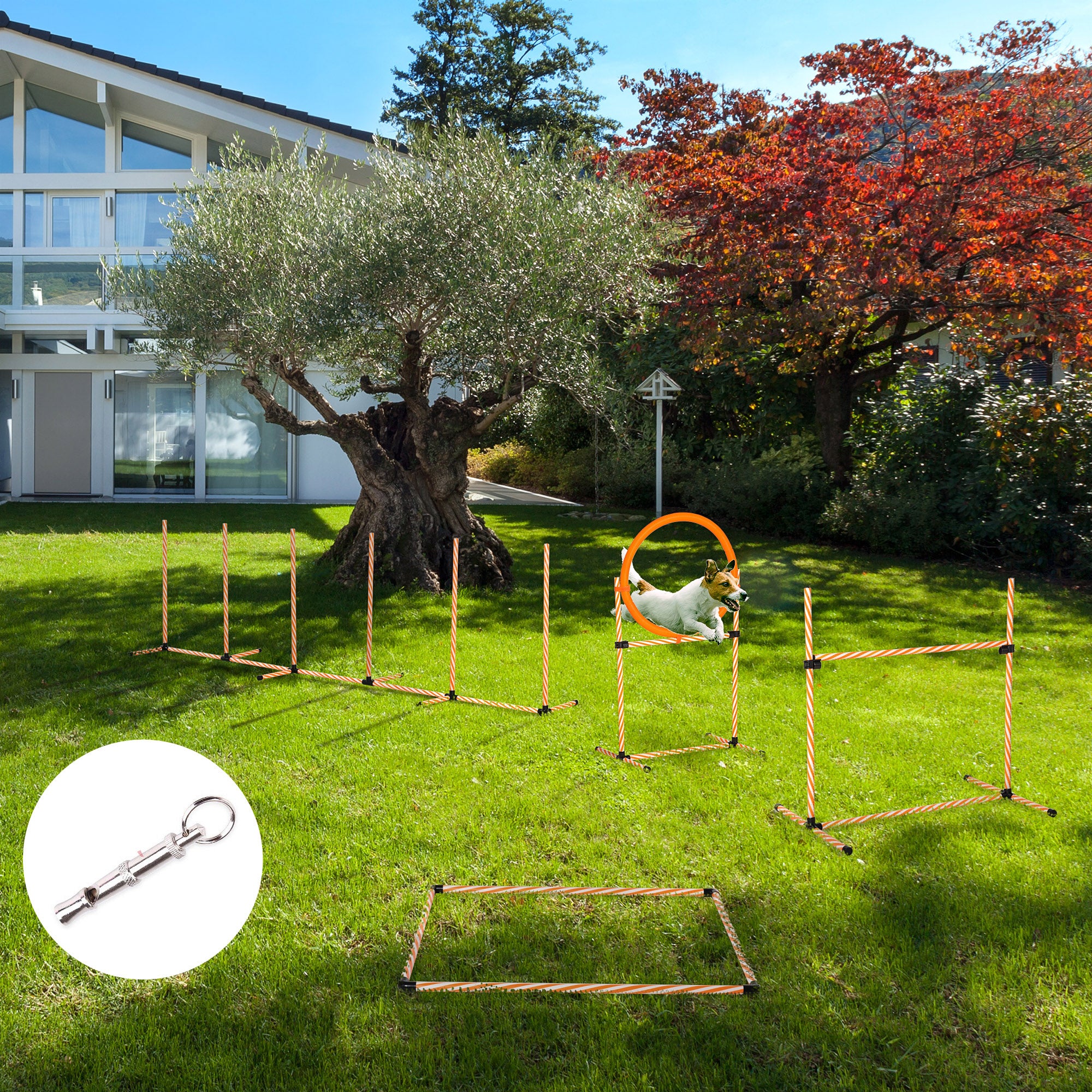 4PC Portable Pet Agility Training Set Hurdle for Dog Obstacle Exercise with Adjustable Height Jump Ring High Jumper Weave Poles Square Pause Box Carry Bag Whistle Orange and White Dog Agility Training Equipment at Gallery Canada