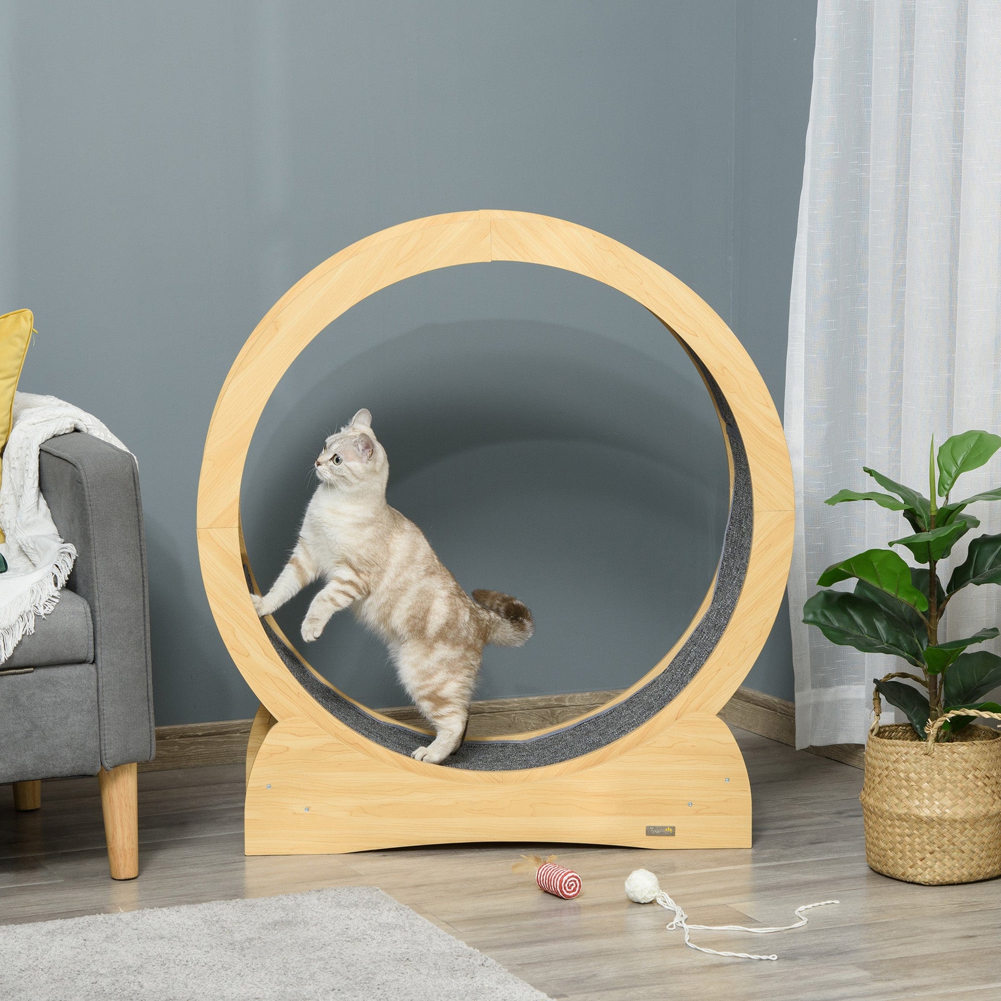 Cat Running Wheel, Cat Exercise Treadmill with Brake, Carpeted Runaway, Pet Fitness Weight Loss Device, Natural Cat Climbing Wall   at Gallery Canada