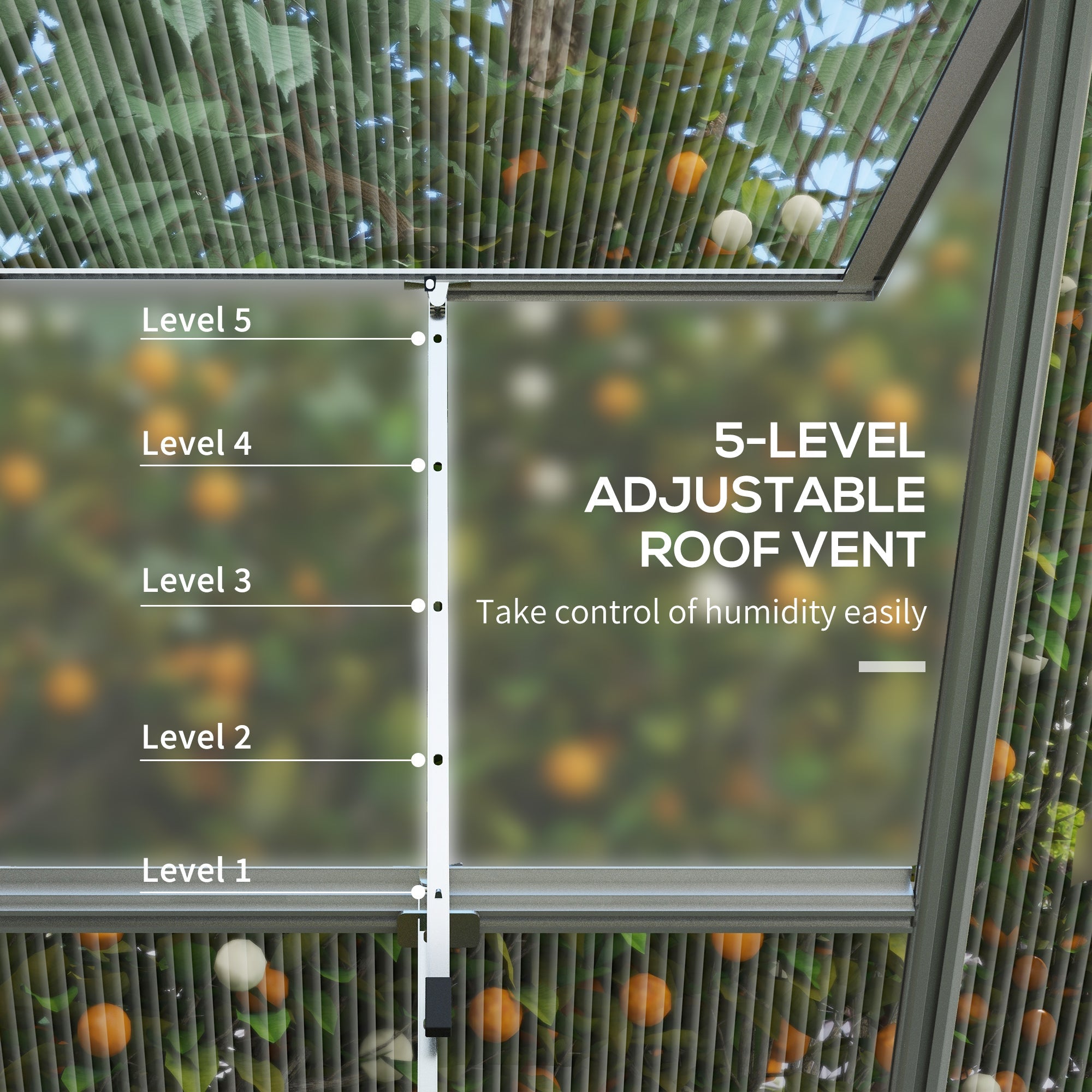 6' x 8' Walk-in Polycarbonate Greenhouse Aluminium Green House with 2 PC Panel Types, 5-Level Roof Vent, Rain Gutter Walk In Greenhouses   at Gallery Canada