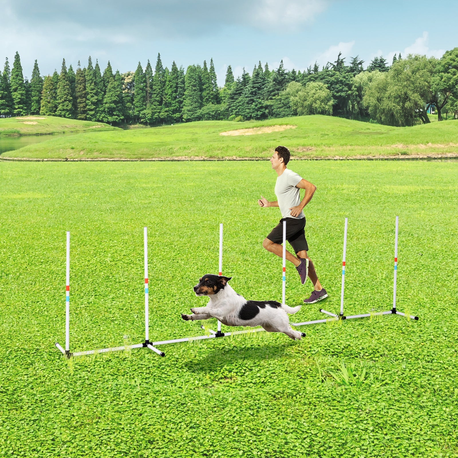 Adjustable Dog Agility Training Obstacle Set with Weaves Poles and Storage Bag for Pet Dogs Outdoor Games Exercise White Dog Agility Training Equipment   at Gallery Canada