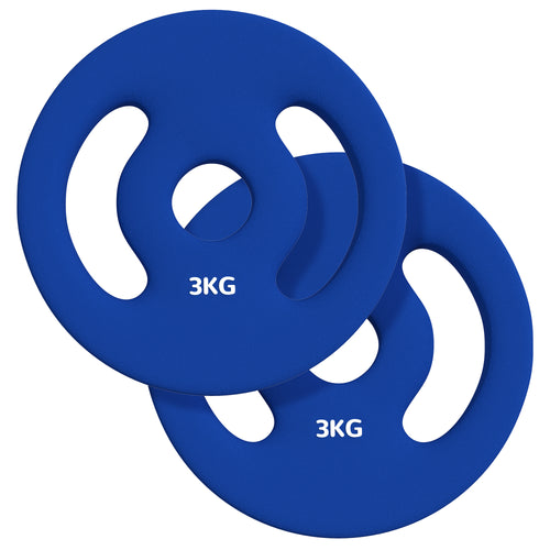 2 x 6.6lbs Standard Weight Plates with Easy-Grip Handles, 1