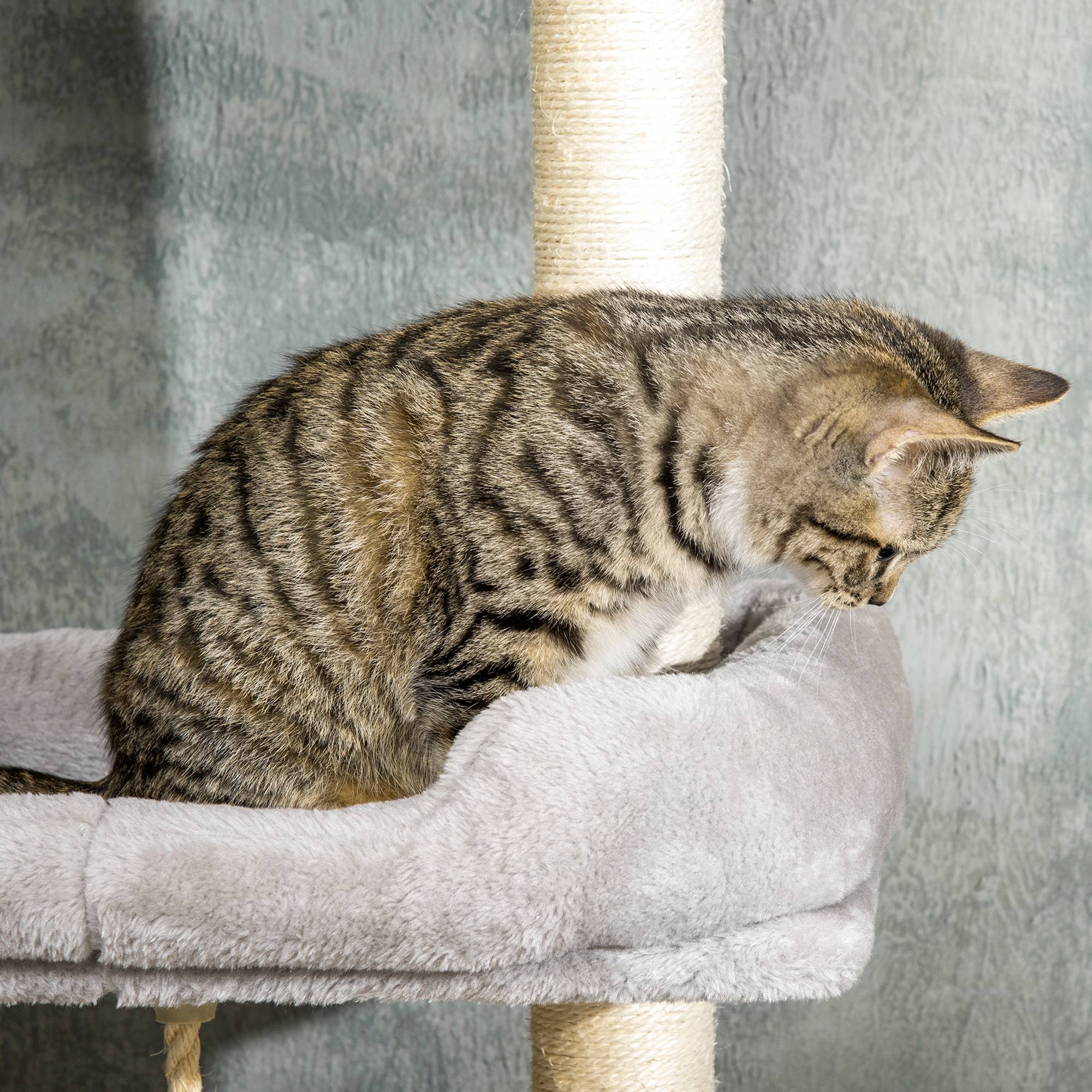 Adjustable Floor-to-Ceiling Cat Tree Tower with Condo and Bed, Grey Floor to Ceiling Cat Trees   at Gallery Canada