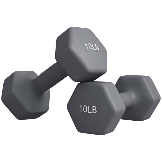 2 x 10LBS Hexagonal Dumbbells, Set of 2 Weights with Non-Slip Grip for Home Gym Workout Dumbbells & Barbells   at Gallery Canada