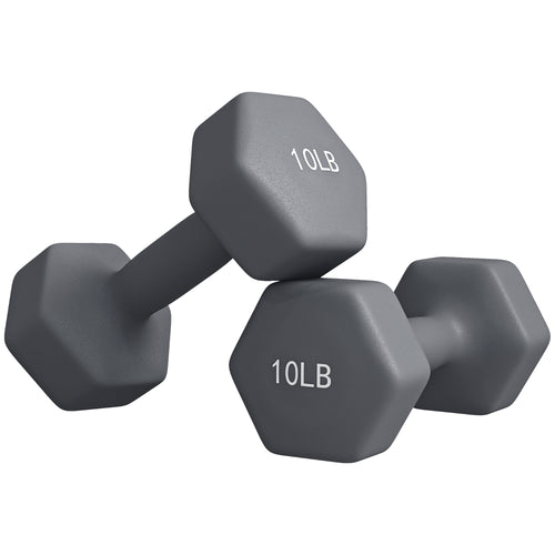 2 x 10LBS Hexagonal Dumbbells, Set of 2 Weights with Non-Slip Grip for Home Gym Workout