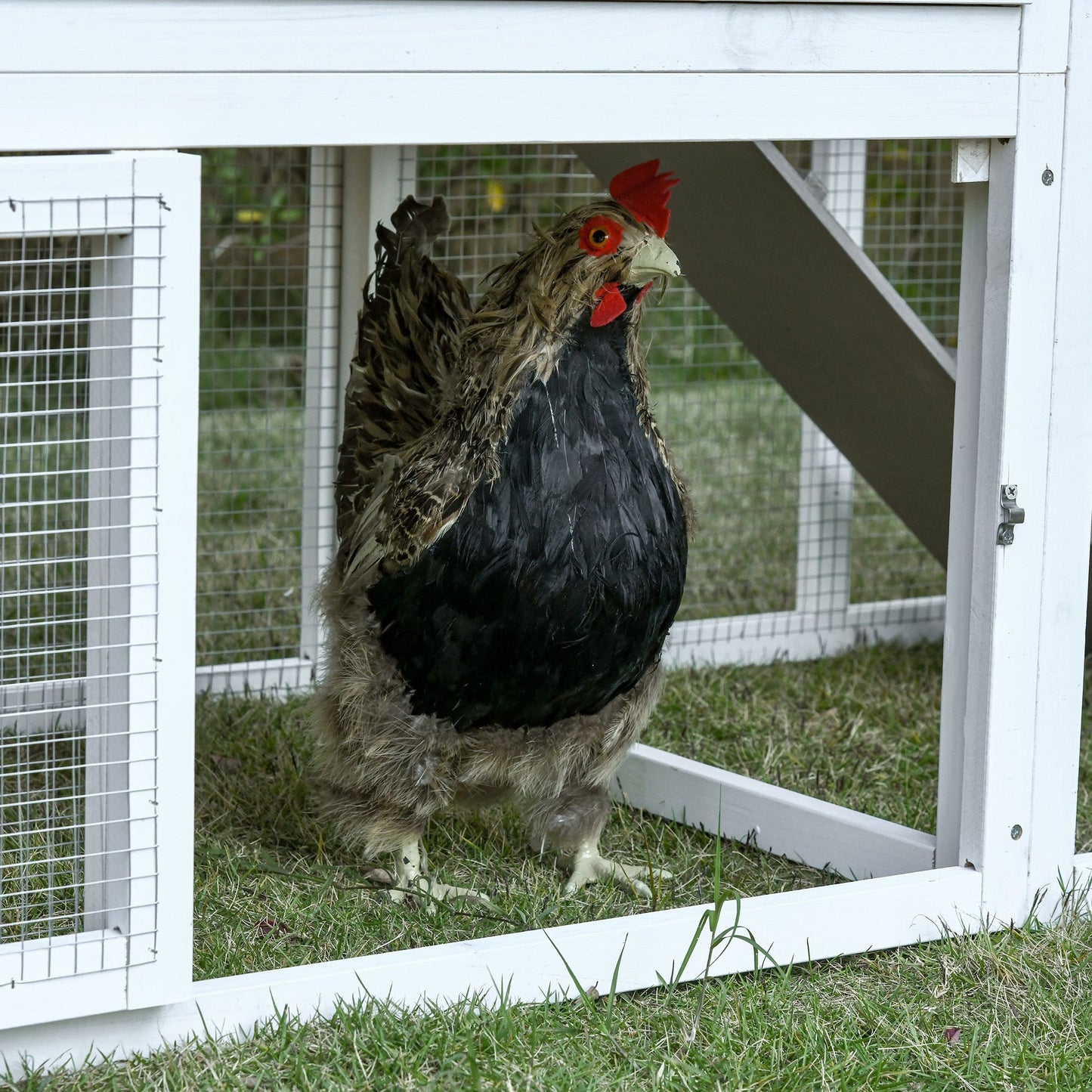 76" Wooden Chicken Coop, Outdoor Hen House Poultry Duck Goose Cage with Outdoor Run, Nesting Box, Removable Tray and Lockable Doors, Grey - Gallery Canada