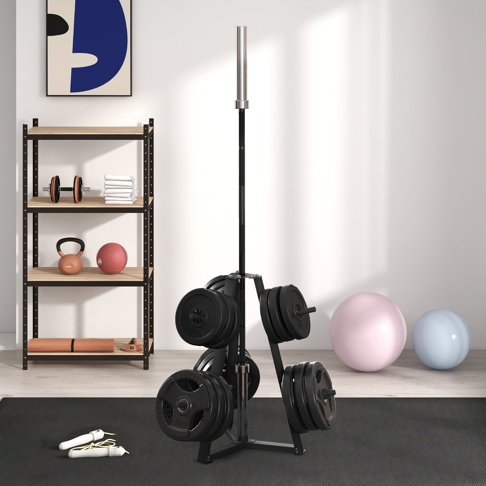 Weight Rack for 1-Inch or 2-Inch Weight Plates, 660LBS Capacity Weight Plate Rack for Home Gym Storage Accessories Black at Gallery Canada