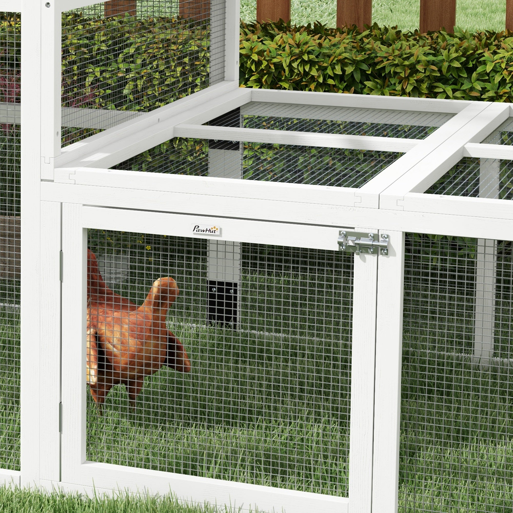 7.3' x 3.6' Wooden Chicken Coop Combinable Design with Storage Shelf for 2-4 Chickens, Ducks, Goose, Rabbits, White Chicken Coops at Gallery Canada