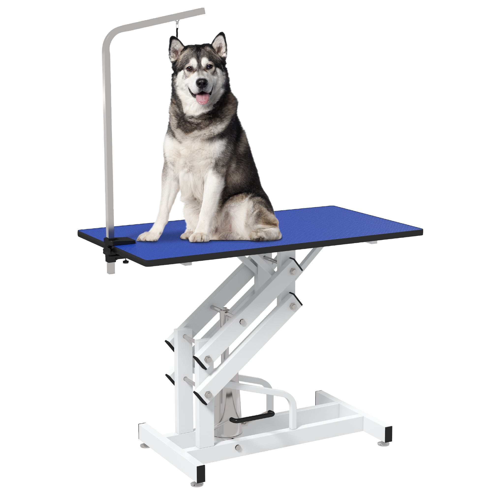 Pet Grooming Table, Height Adjustable Dog Grooming Table with Arm, Noose and Non-Slip Grooming Table, Blue Dog Grooming Tables at Gallery Canada