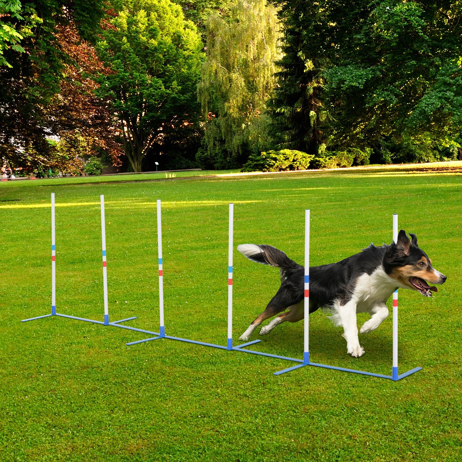 Adjustable Dog Agility Training Obstacle Set with Weaves Poles and Storage Bag for Pet Dogs Outdoor Games Exercise Blue and White Dog Agility Training Equipment   at Gallery Canada