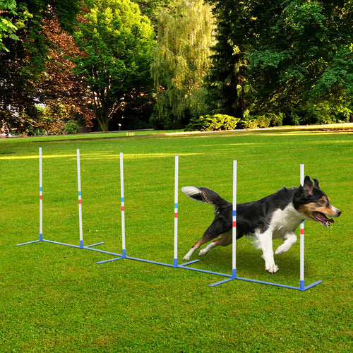 Adjustable Dog Agility Training Obstacle Set with Weaves Poles and Storage Bag for Pet Dogs Outdoor Games Exercise Blue and White