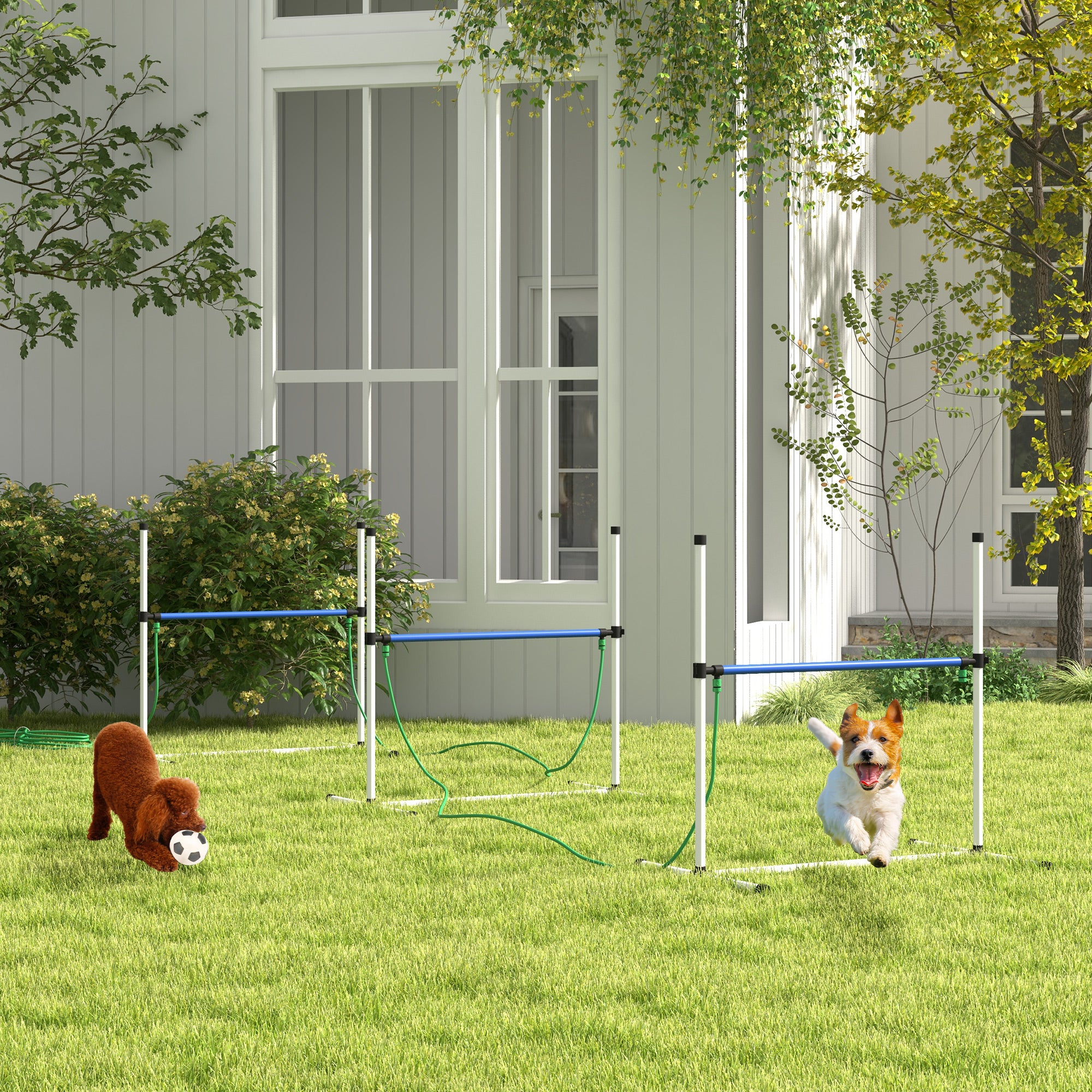 4PCs Dog Agility Equipment Set with Adjustable Height Hurdles, Spray Water Tube, Whistle, Carry Bag, White Dog Agility Training Equipment at Gallery Canada