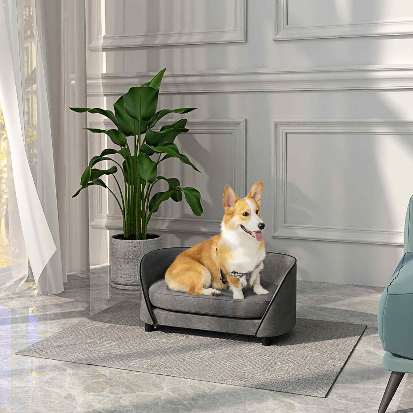 Pet Sofa Dog Couch for Small to Medium Sized Dogs with Soft Cushion, Removable Washable Cover, Velvet Touch, Grey Dog Sofas   at Gallery Canada