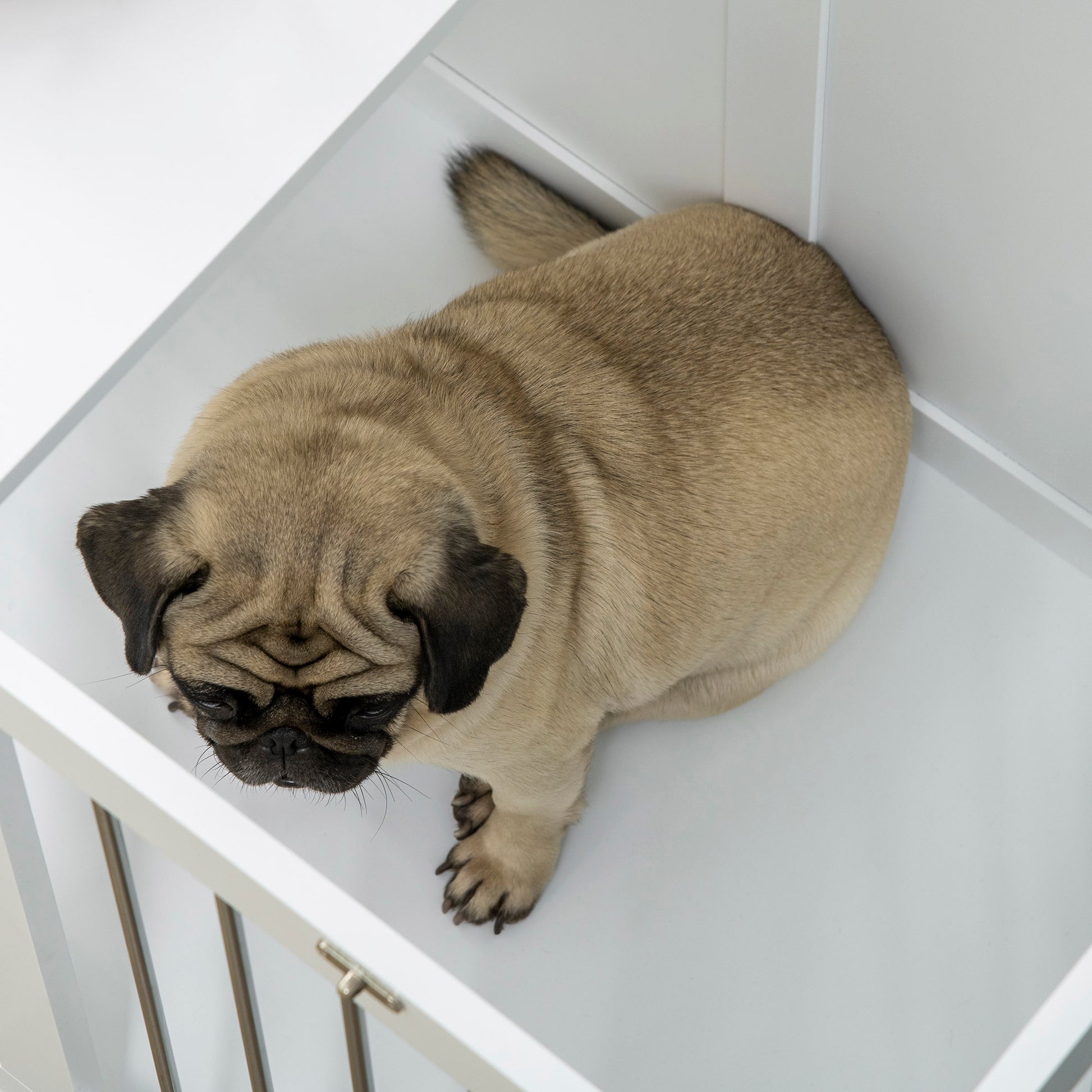 31.5" Dog Crate Furniture with Double Doors, for Medium Dogs, White Houses, Kennels & Pens   at Gallery Canada