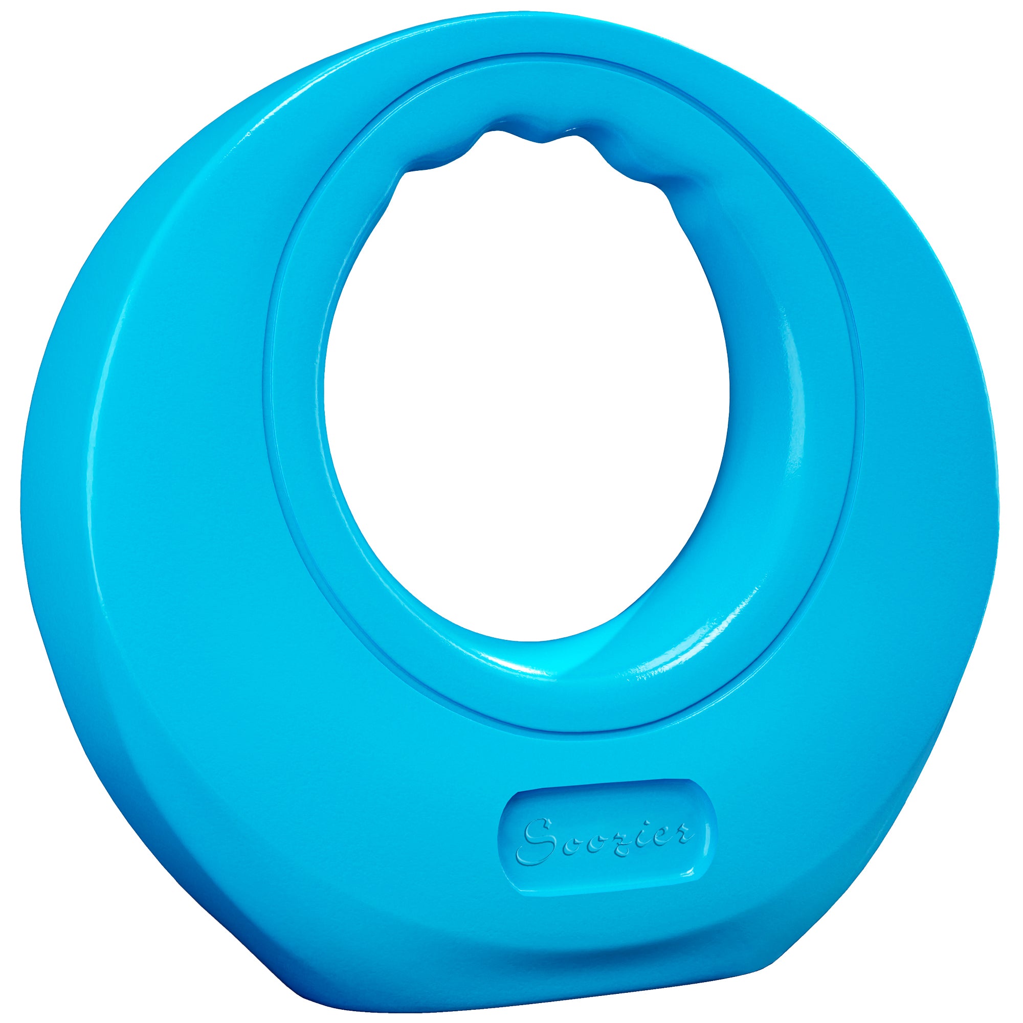 22lbs Kettlebell, Soft Kettle Bell with Wide Handle for Home Gym Weight Lifting and Strength Training, Light Blue Strength Training Equipment at Gallery Canada