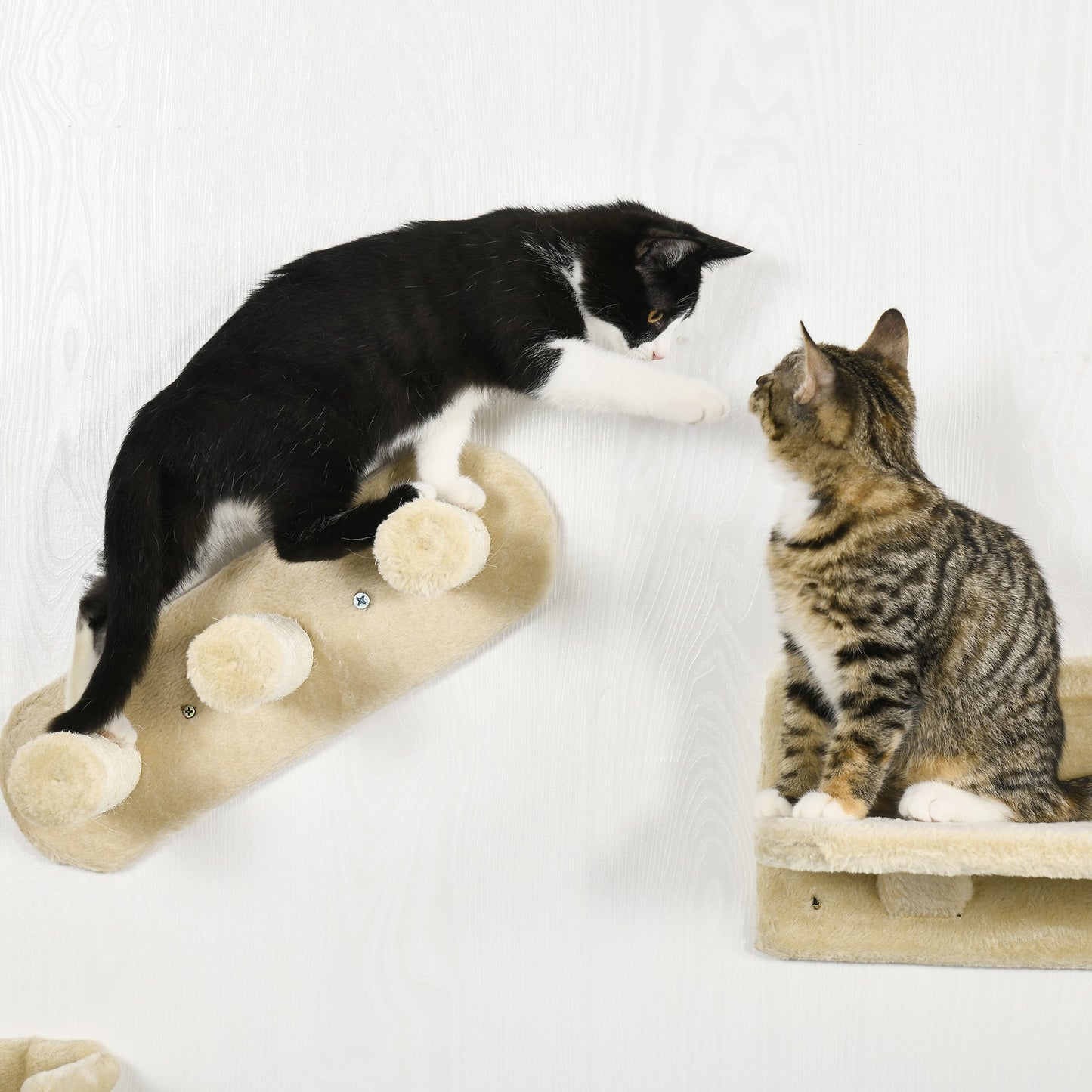 Cat Wall Climber with Hammock, Scratching Post, Steps, Shelves - Beige Cat Climbing Wall   at Gallery Canada