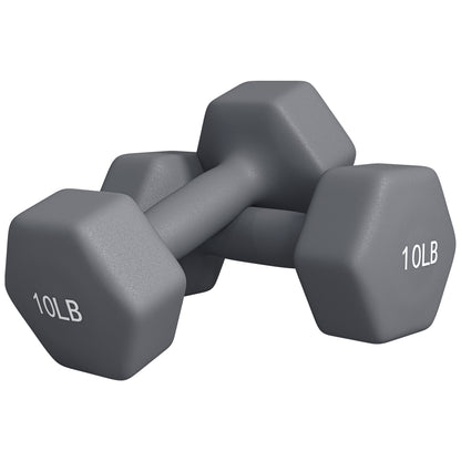 2 x 10LBS Hexagonal Dumbbells, Set of 2 Weights with Non-Slip Grip for Home Gym Workout Dumbbells & Barbells   at Gallery Canada