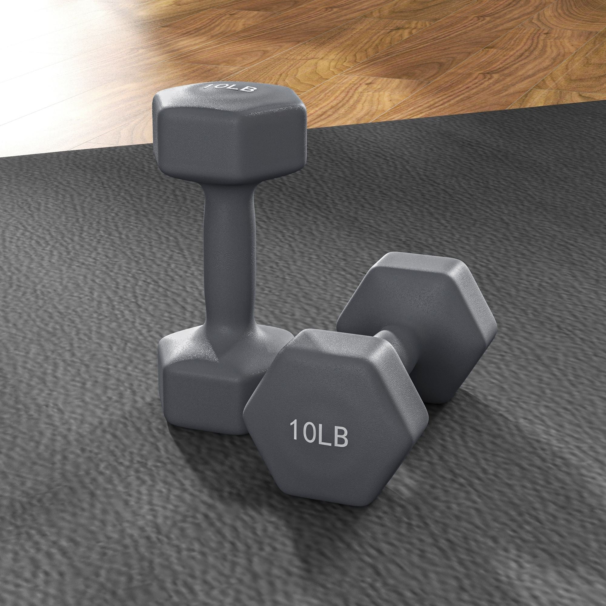 2 x 10LBS Hexagonal Dumbbells, Set of 2 Weights with Non-Slip Grip for Home Gym Workout Dumbbells & Barbells at Gallery Canada