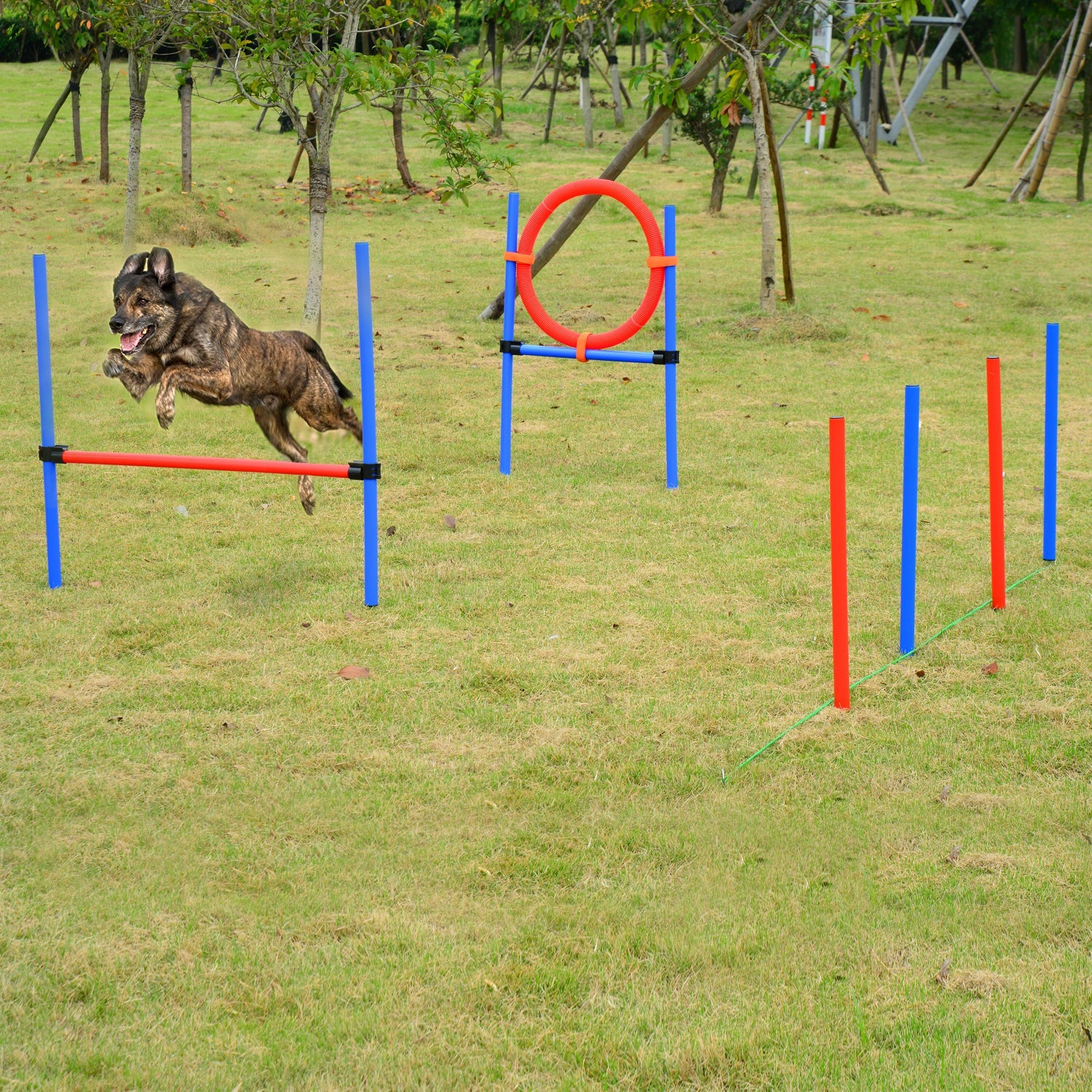 Dog Pet Agility Training Kit High Jump Weave Pole Ring Obedience Training Set Adjustable Equipment Portable Dog Agility Training Equipment   at Gallery Canada