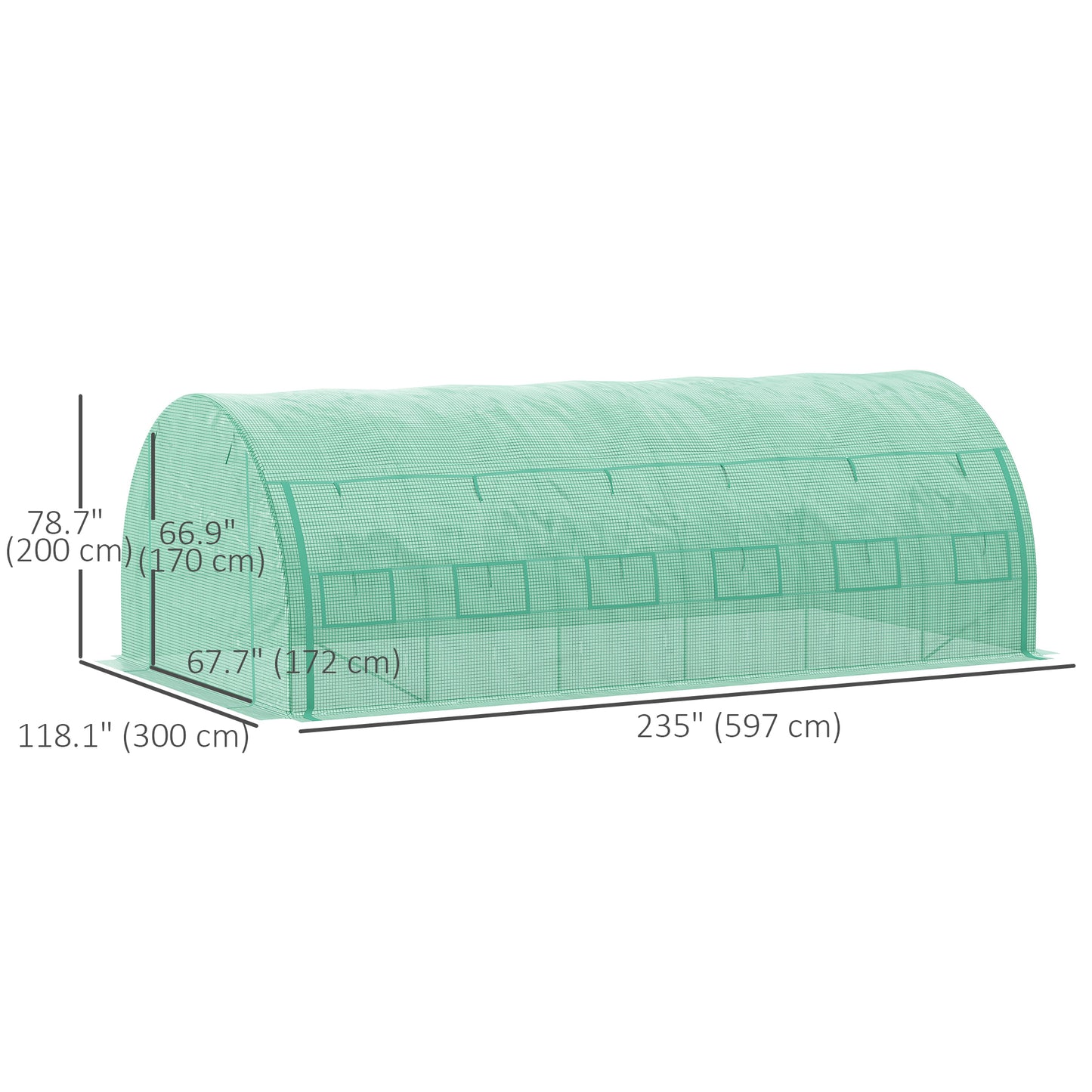 Large Walk-in Greenhouse, 20'x10'x6.6' Tunnel Greenhouse with Zippered Door and 12 Roll-up Windows, Outdoor Green House for Garden Plant, Green Tunnel Greenhouses at Gallery Canada