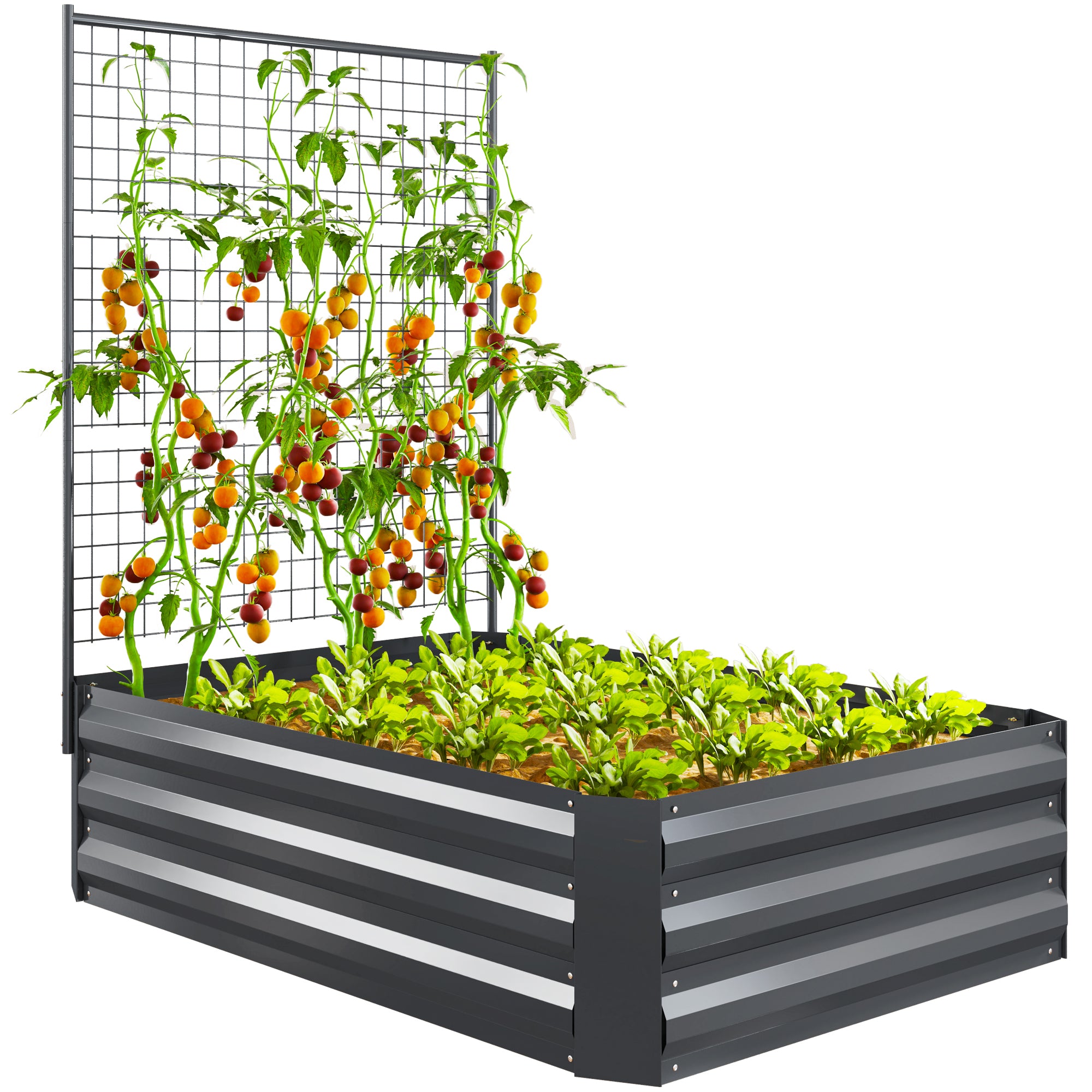 Galvanized Raised Garden Bed with Trellis for Climbing Plants, Outdoor Planter Box with Open Bottom, Dark Grey Raised Garden Beds at Gallery Canada