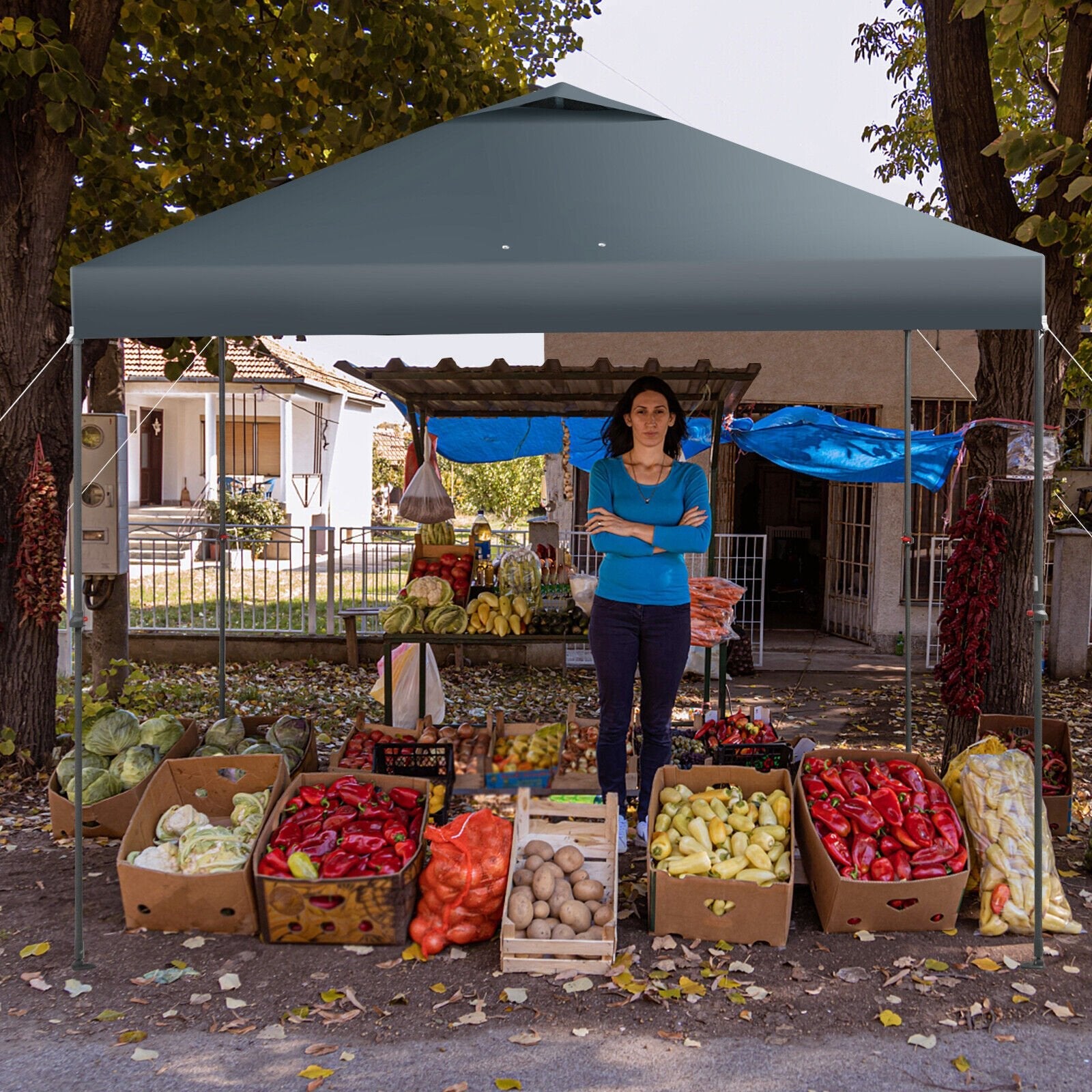 10 x 10 Feet Foldable Outdoor Instant Pop-up Canopy with Carry Bag, Gray Canopies   at Gallery Canada