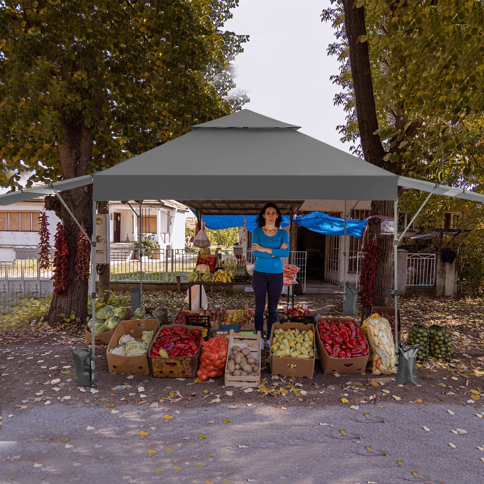 10 x 17.6 Feet Outdoor Instant Pop-up Canopy Tent with Dual Half Awnings, Gray Canopies   at Gallery Canada