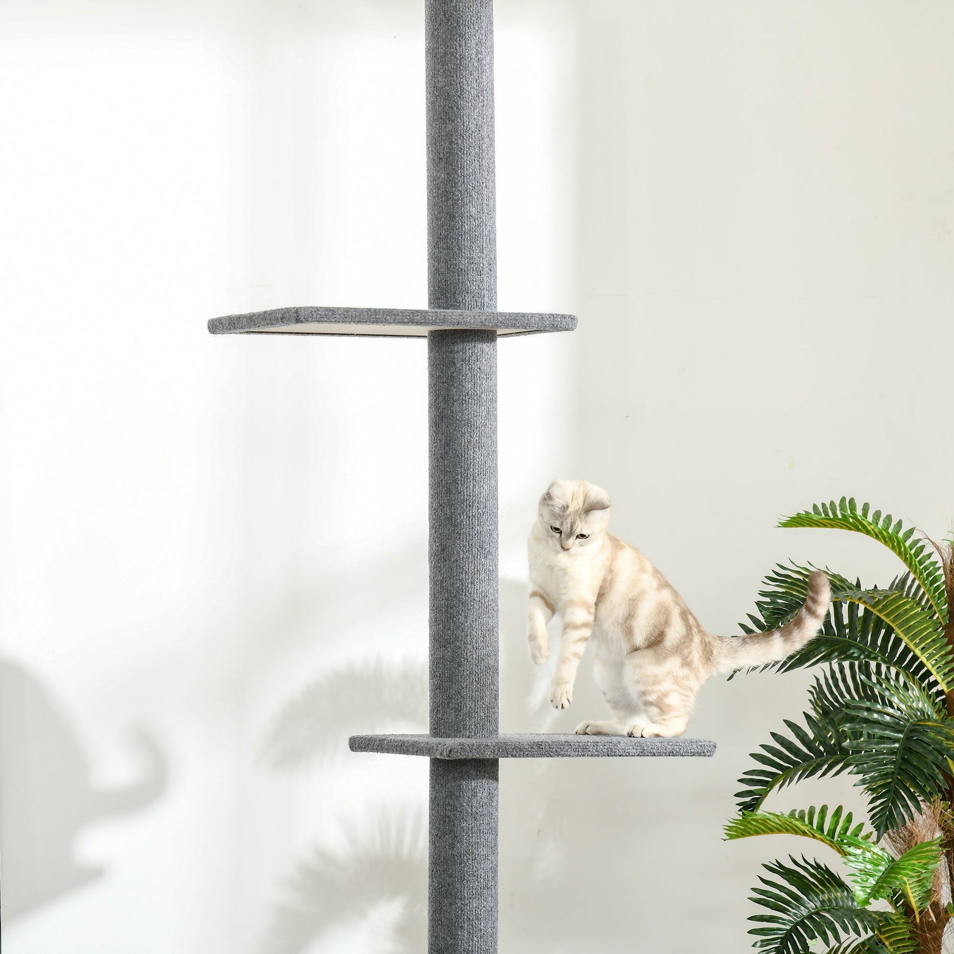 100" Floor To Ceiling Cat Tree w/ 3 Perches Activity Center for Kittens Cat Tower Furniture, Grey Floor to Ceiling Cat Trees   at Gallery Canada