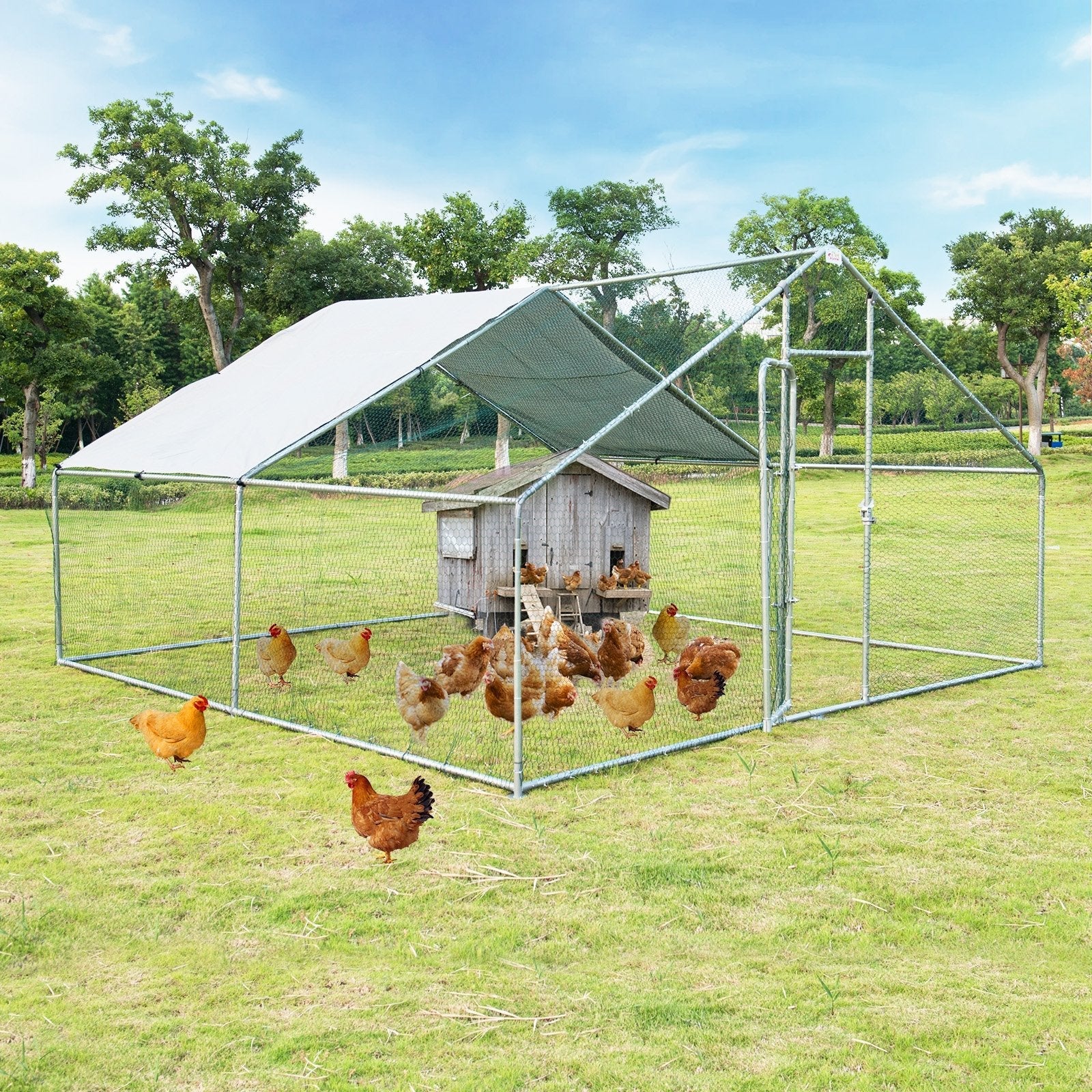 13 x 13 Feet Walk-in Chicken Coop with Waterproof Cover for Outdoor Backyard Farm, White Chicken Coops   at Gallery Canada