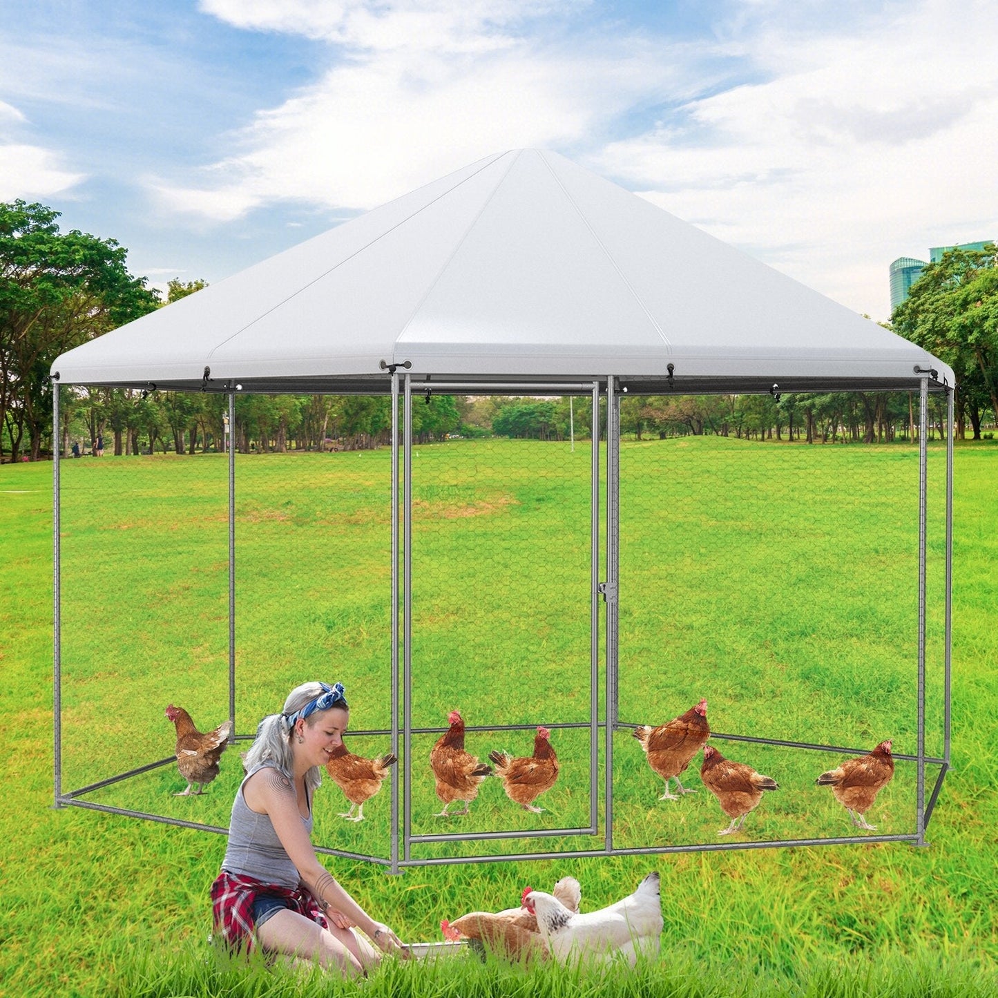 13FT Large Metal Hexagonal Chicken Coop with Wire Mesh and Lockable Door, Silver Chicken Coops   at Gallery Canada