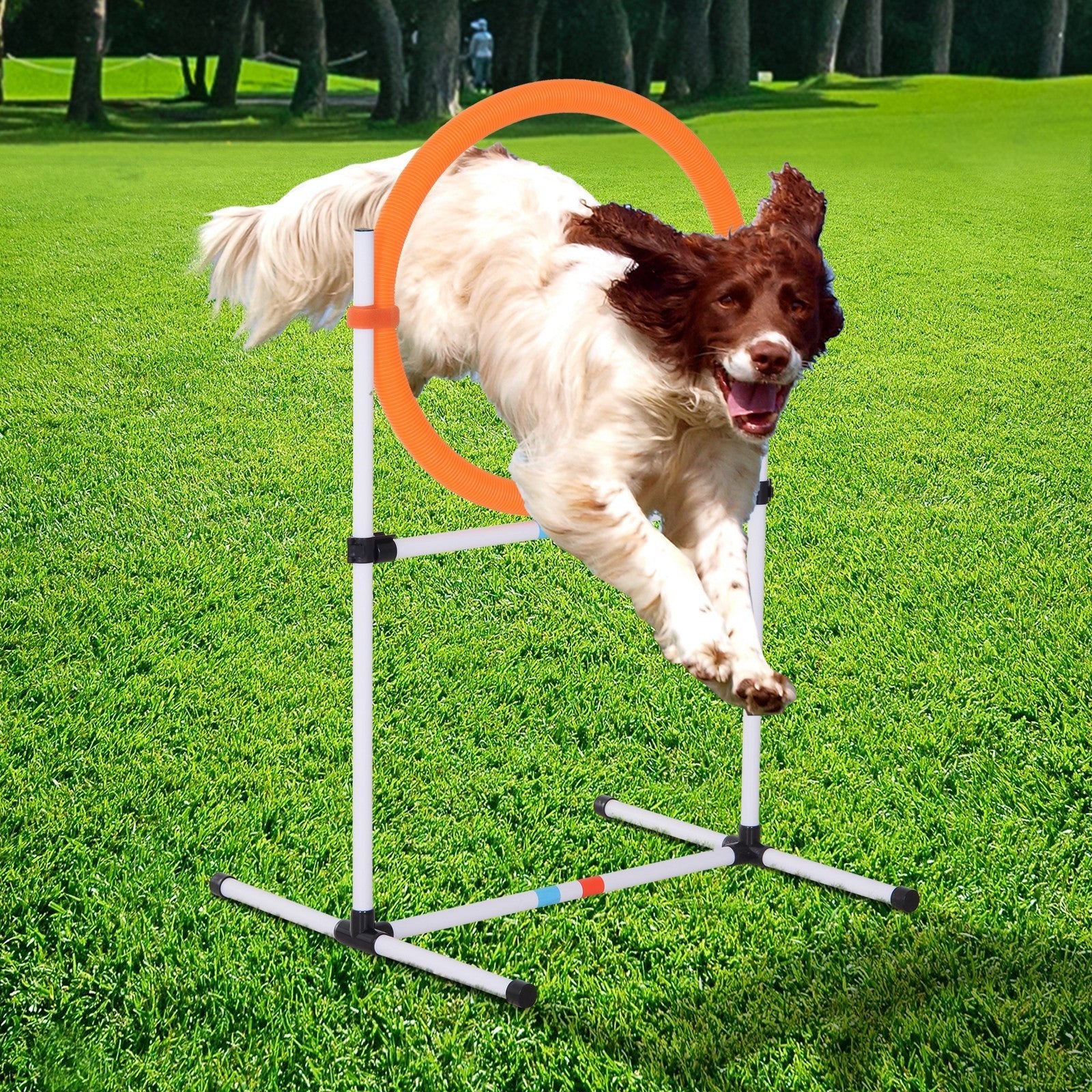 2-in-1 Dog Obstacle Training Agility Equipment Tire Jump Ring/Hurdle Bar with a Simple &; Easy Setup &; Storage Bag Dog Agility Training Equipment   at Gallery Canada