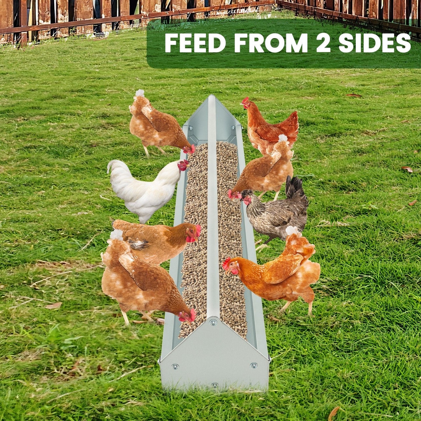 2-in-1 Galvanized Steel Wall Mount Hay and Grain Feeder with Adjustable Distance, Silver Chicken Coops   at Gallery Canada