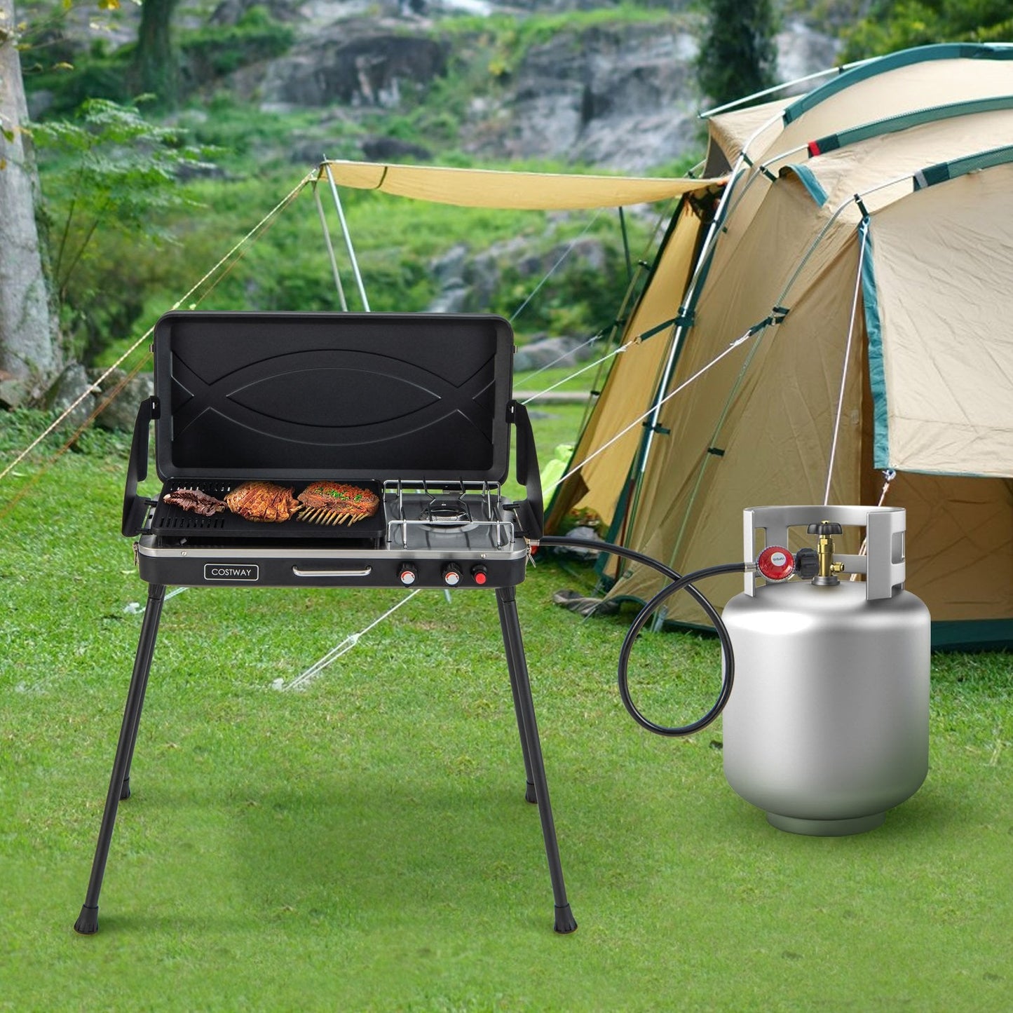 2-in-1 Gas Camping Grill and Stove with Detachable Legs, Black Outdoor Grills   at Gallery Canada