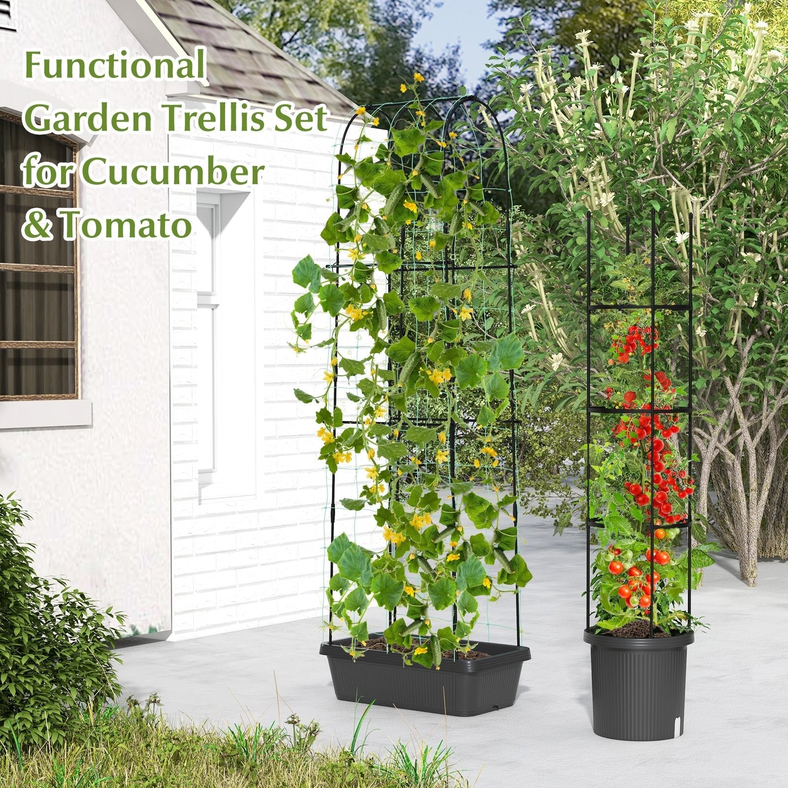 2 Pack Garden Planters with Trellis Cucumber Trellis Tomato Cage, Black Raised Garden Beds   at Gallery Canada