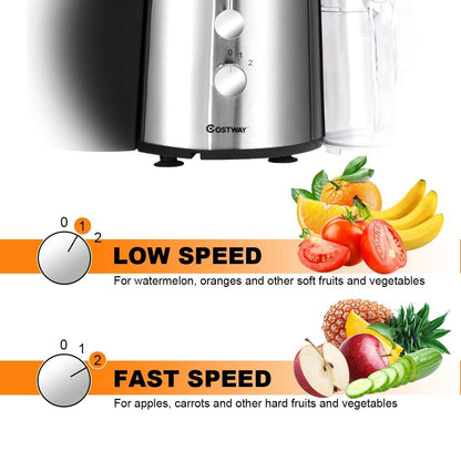 2 Speed Electric Juice Press for Fruit and Vegetable, Silver Juicers & Coffee Machines   at Gallery Canada