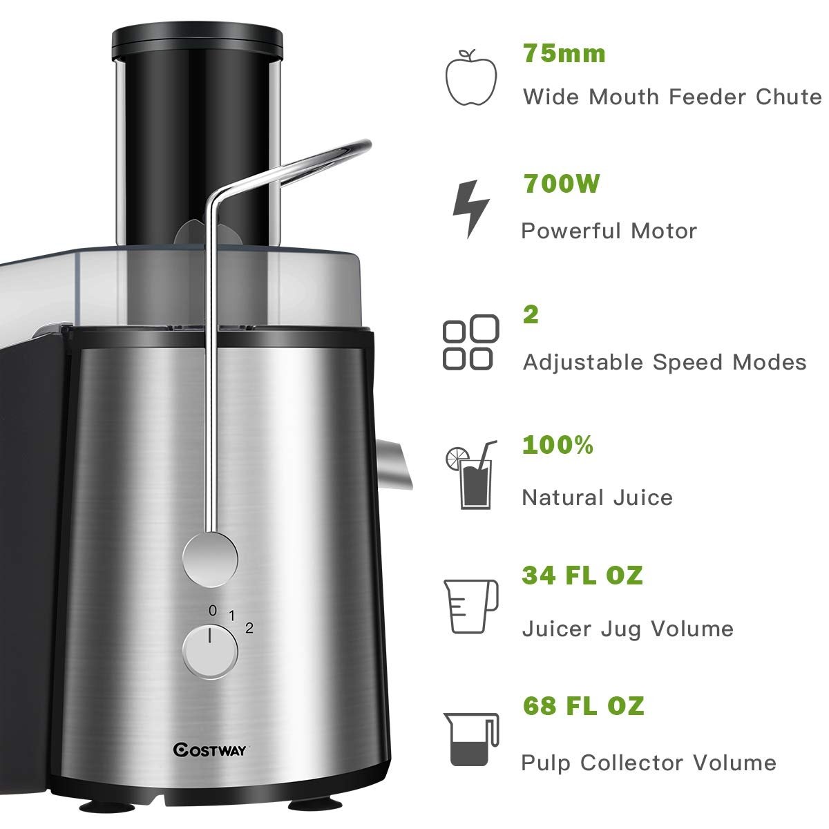 2 Speed Electric Juice Press for Fruit and Vegetable, Silver Juicers & Coffee Machines   at Gallery Canada