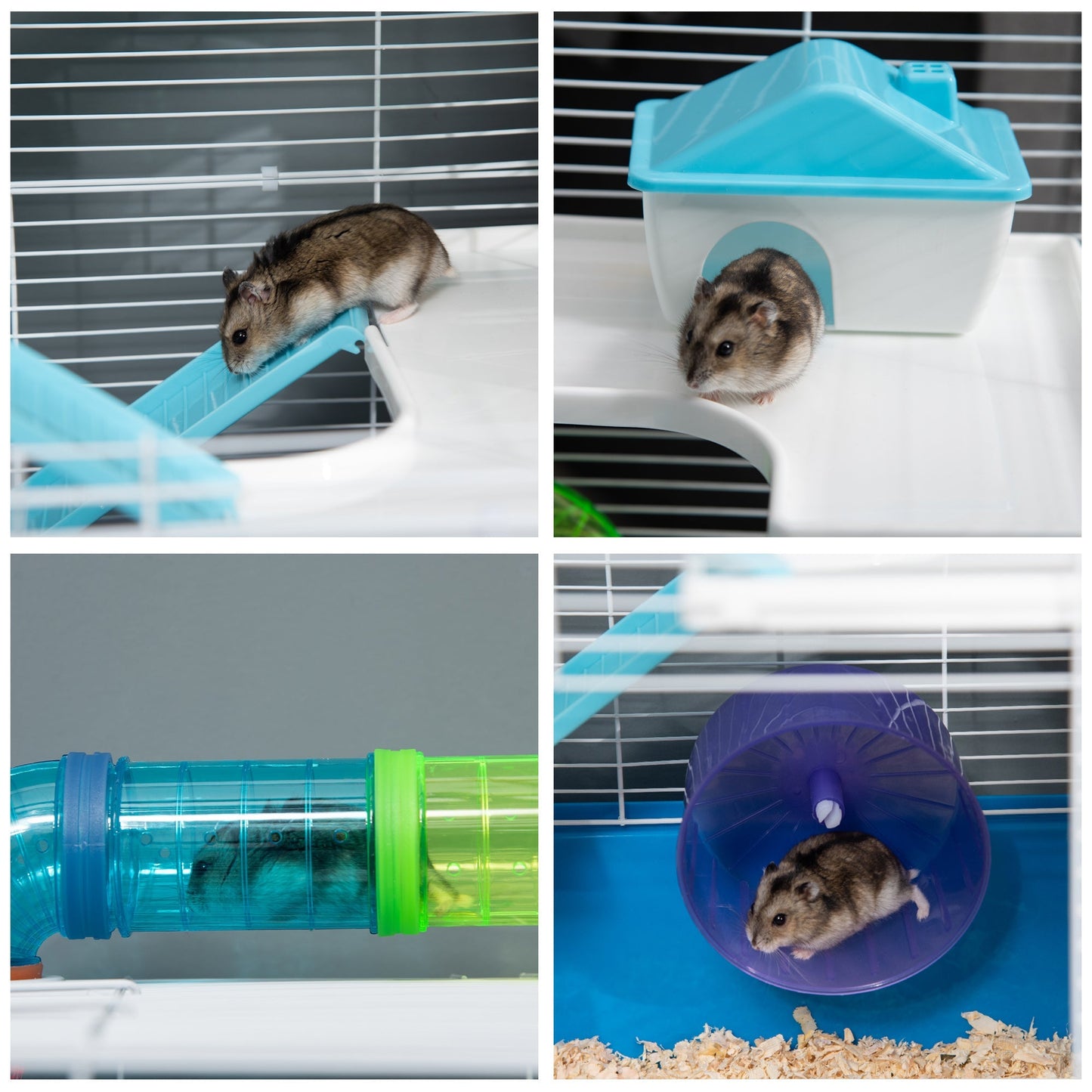 23" Large Hamster Cage 5-Level with Tunnel Tube System, Blue Hamster Cages   at Gallery Canada