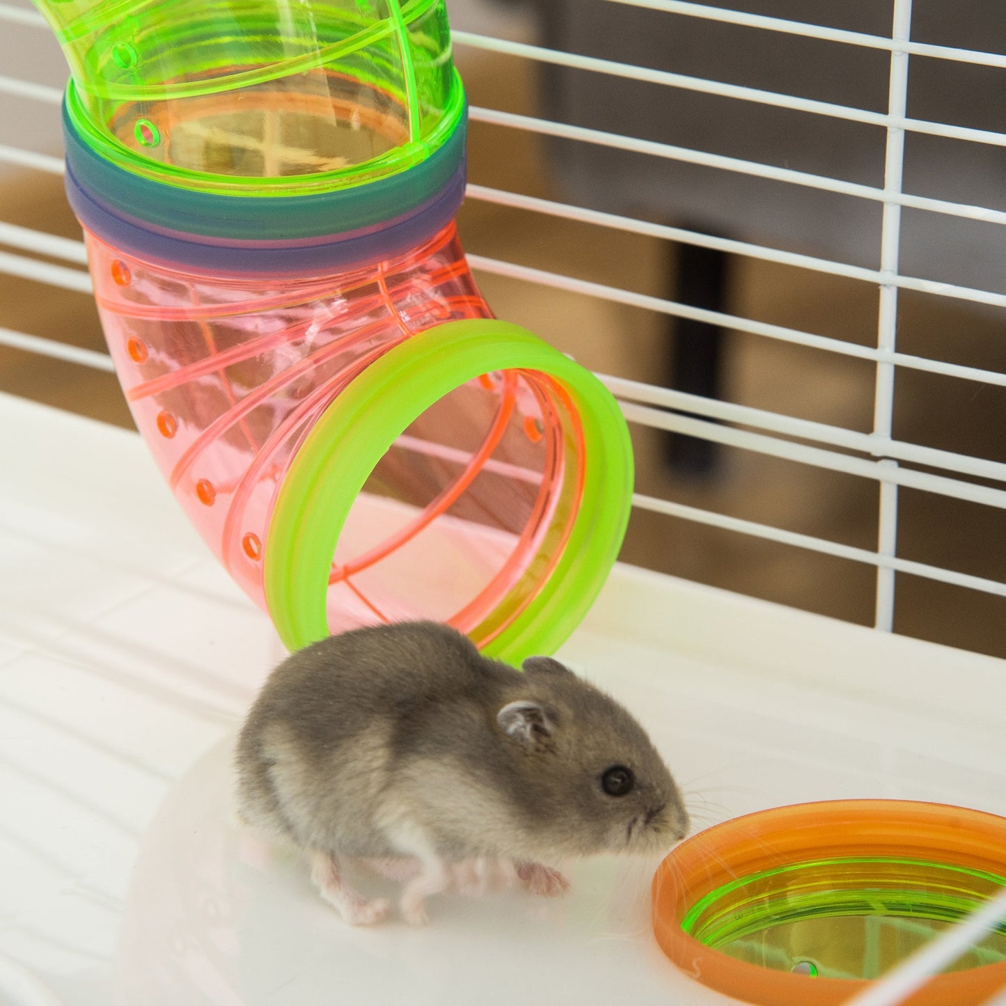 5-Level Hamster Cage with Tunnel System, Wheel, Water Bottle, Light Blue Hamster Cages   at Gallery Canada