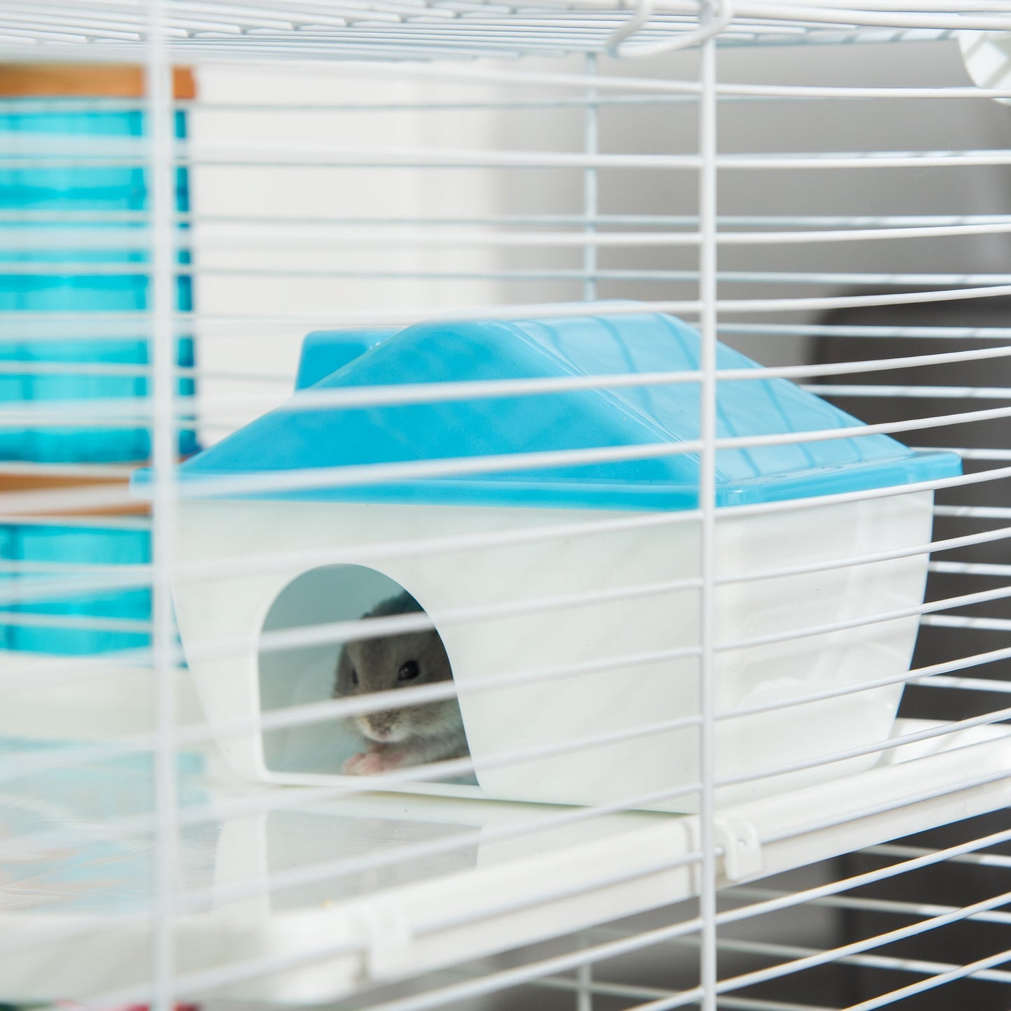 5-Level Hamster Cage with Tunnel System, Wheel, Water Bottle, Light Blue Hamster Cages   at Gallery Canada