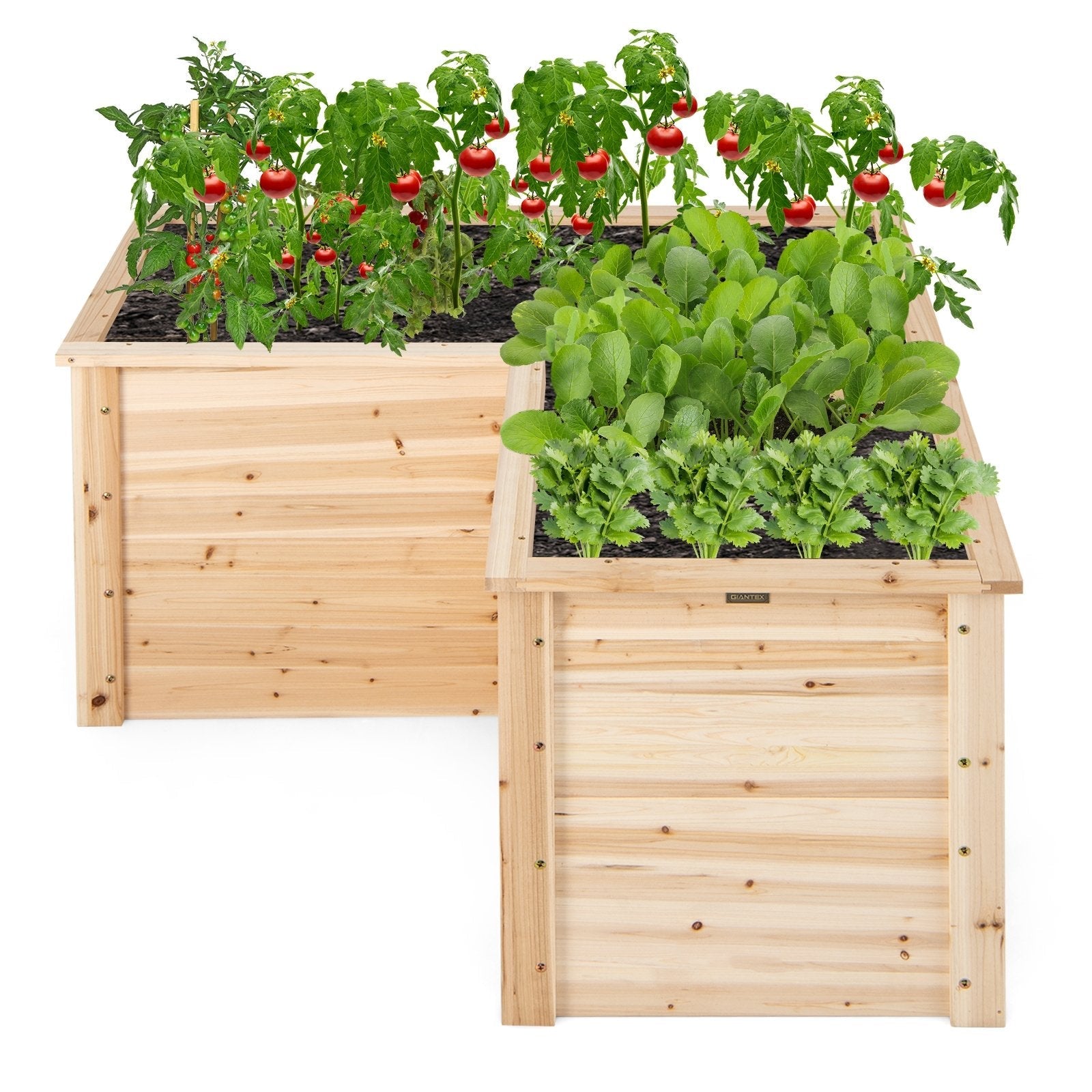 24 Inch L-Shaped Wooden Raised Garden Bed with Open-Ended Base, Natural Raised Garden Beds   at Gallery Canada