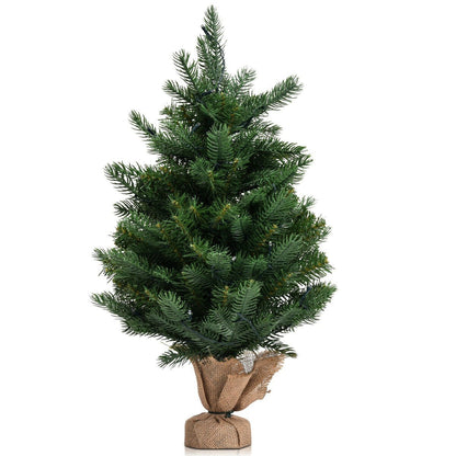 24 Inch Tabletop Fir Artificial Christmas Tree with LED Lights, Green Christmas Tree   at Gallery Canada