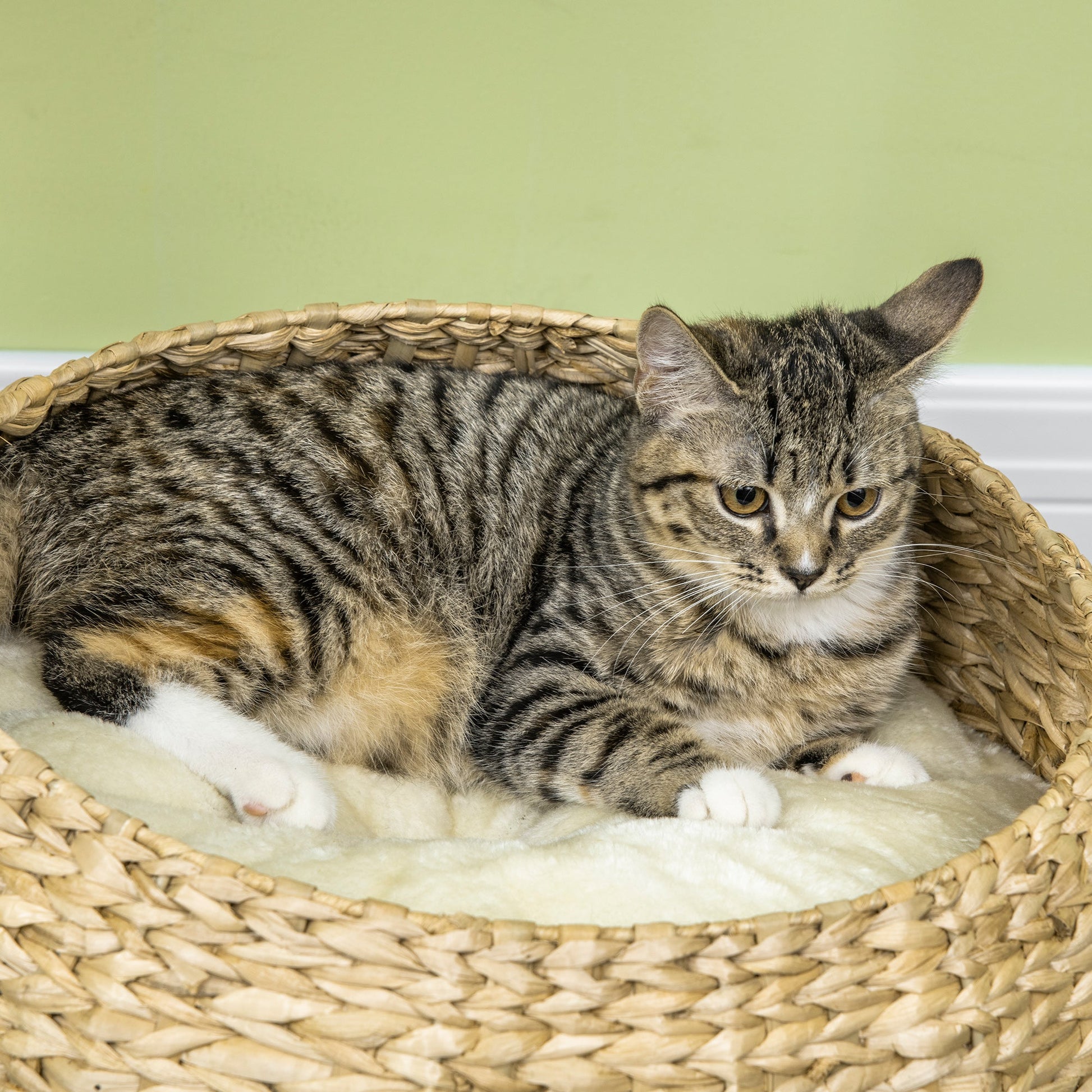 28" Cat Tree with Scratching Post, Cat Tower with Double Beds, Beige Cat Towers   at Gallery Canada