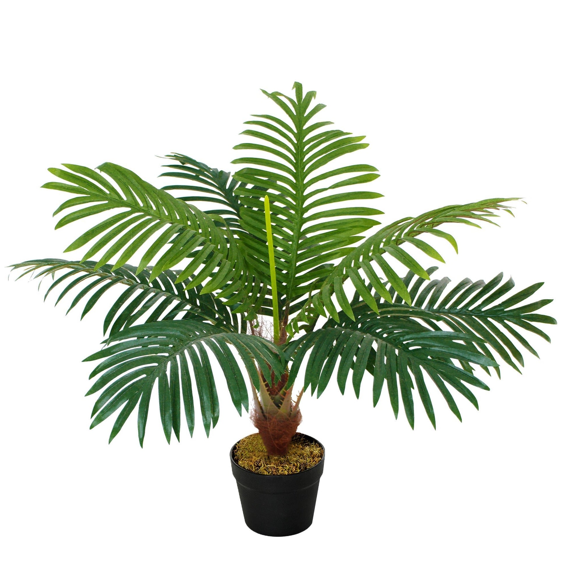 2FT Artificial Palm Tree, Fake Tropical Tree with Lifelike Leaves, Faux Plant in Pot for Indoor and Outdoor Decoration, Green Artificial Trees   at Gallery Canada