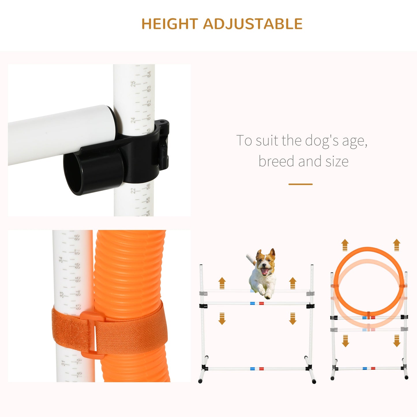 Dog Agility Training Set: High Jump, Ring, Weave Poles, Storage Bag, Multi Colour Dog Agility Training Equipment   at Gallery Canada