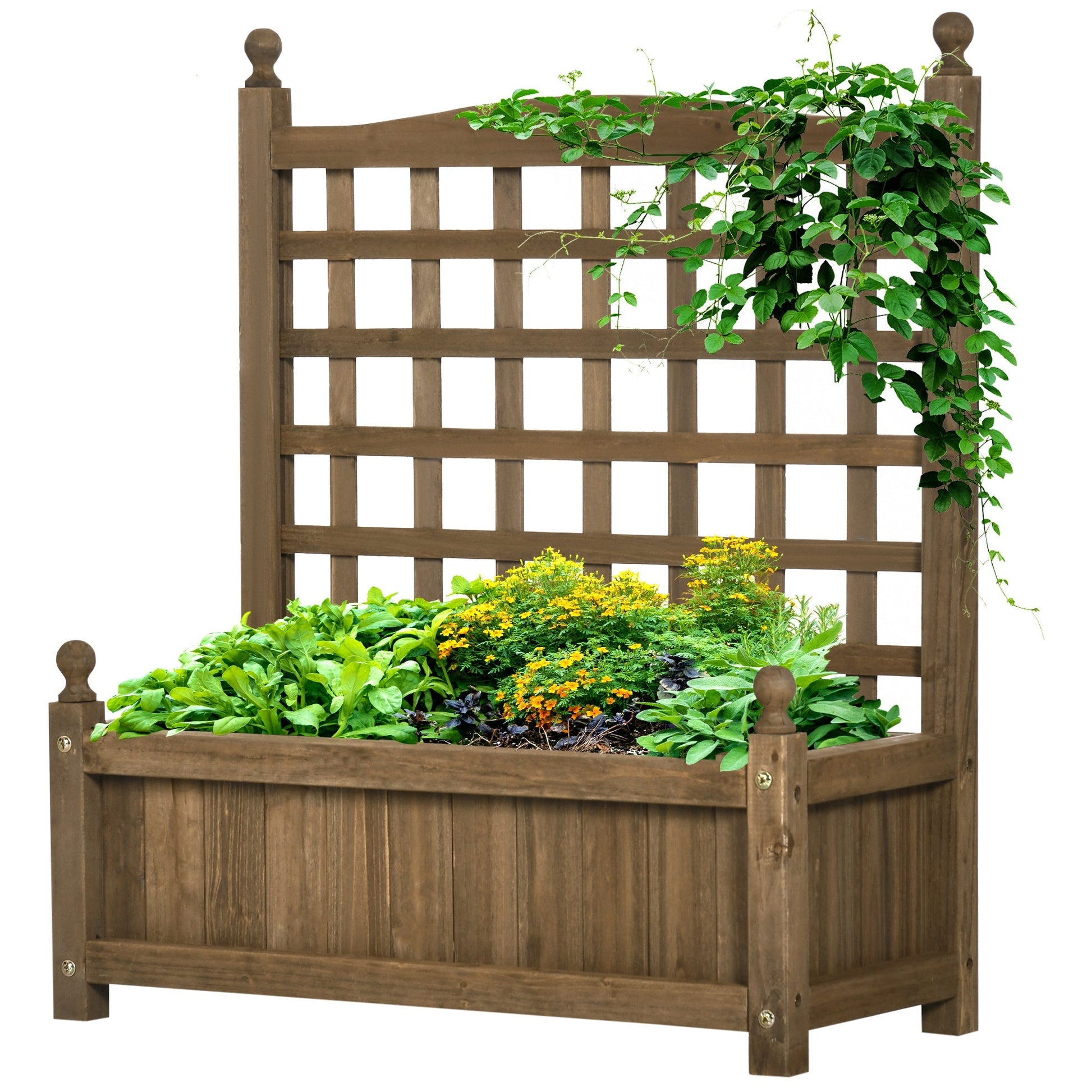 Garden Planter with Trellis for Climbing Vines, Wood Raised Garden Bed, Planter Box for Garden, Indoor Outdoor, Coffee Wooden Planter Boxes Coffee  at Gallery Canada